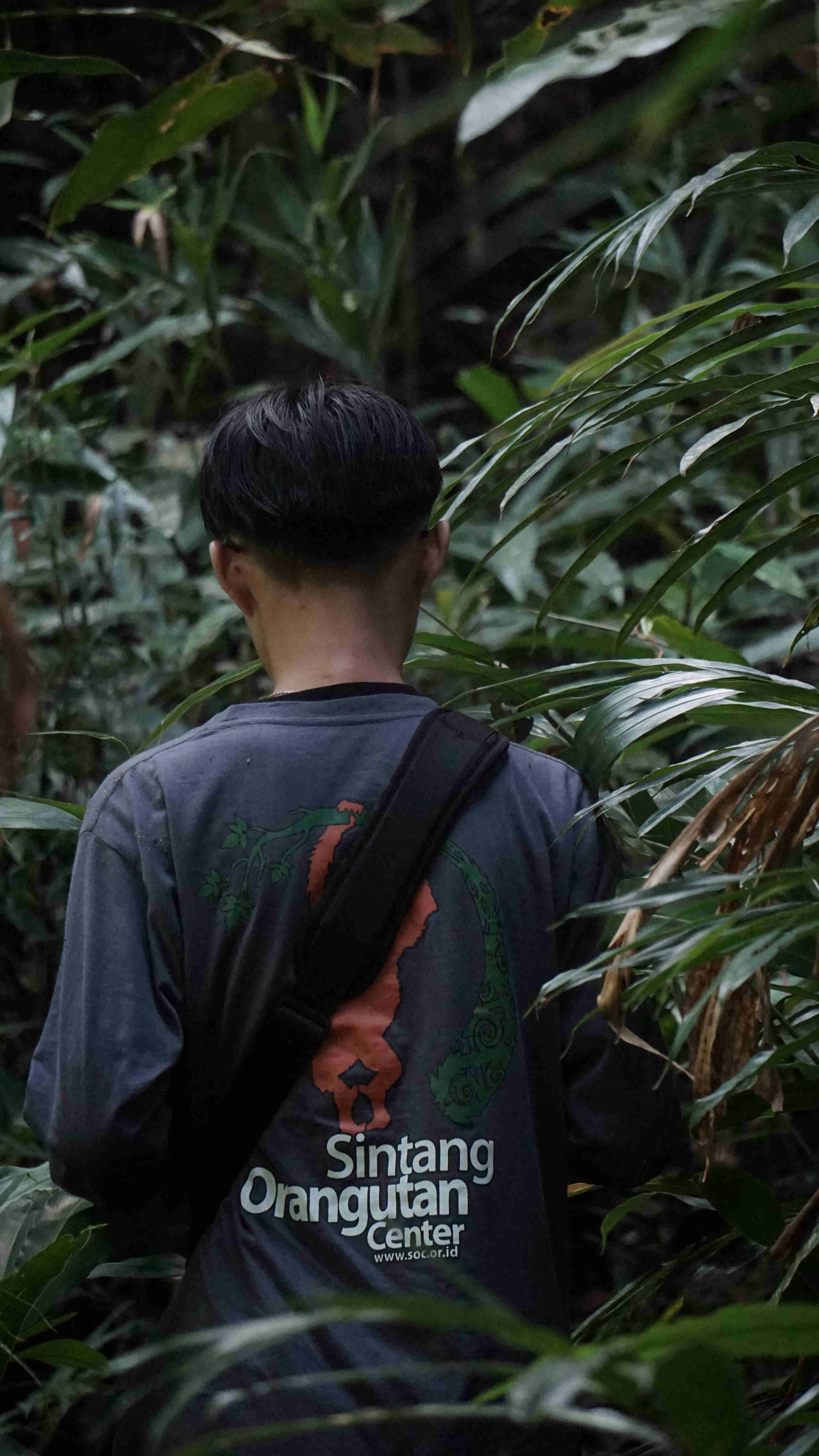 Go to Yosafat Gusti's profile