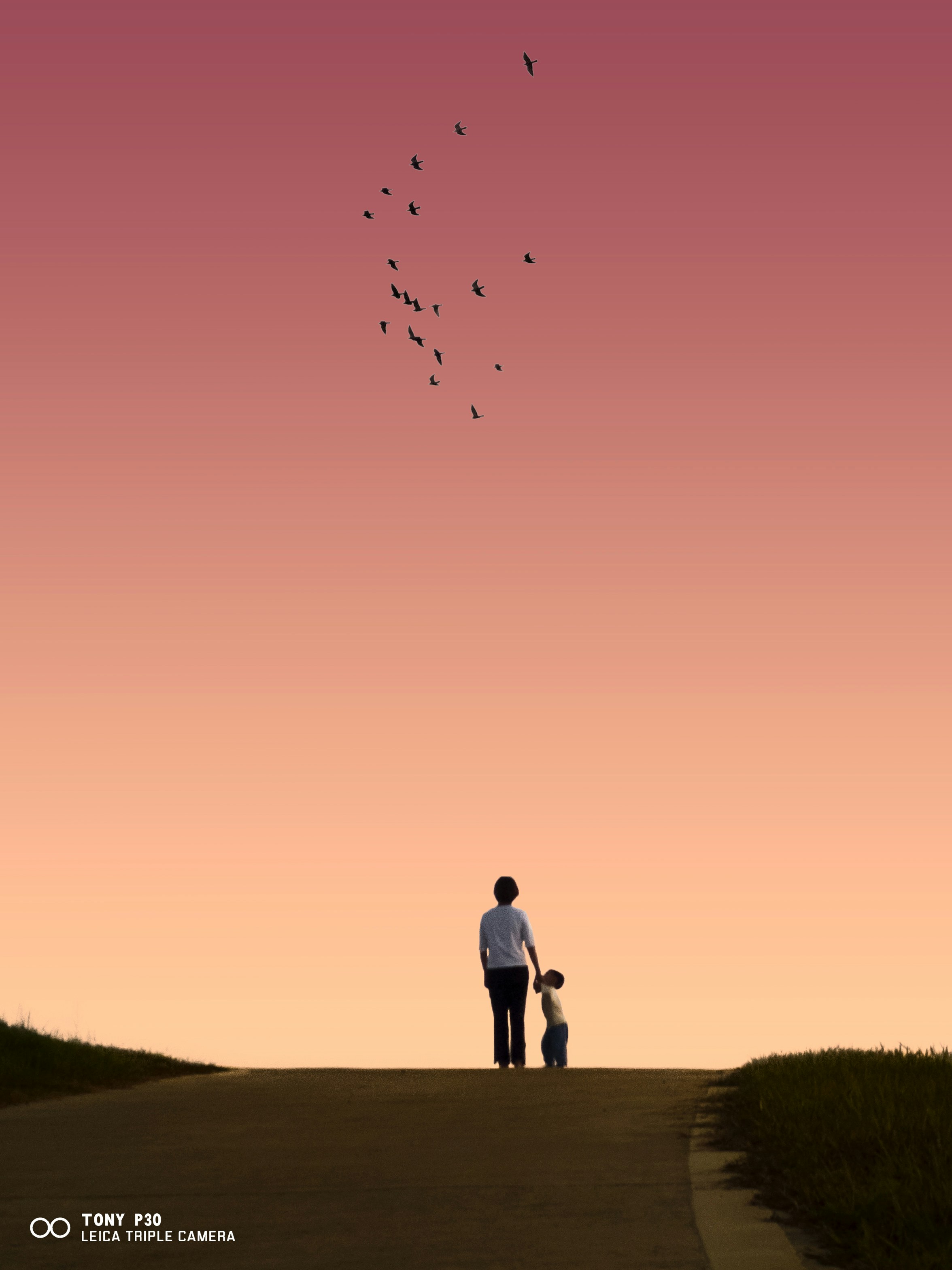 Go to Tony Chen's profile