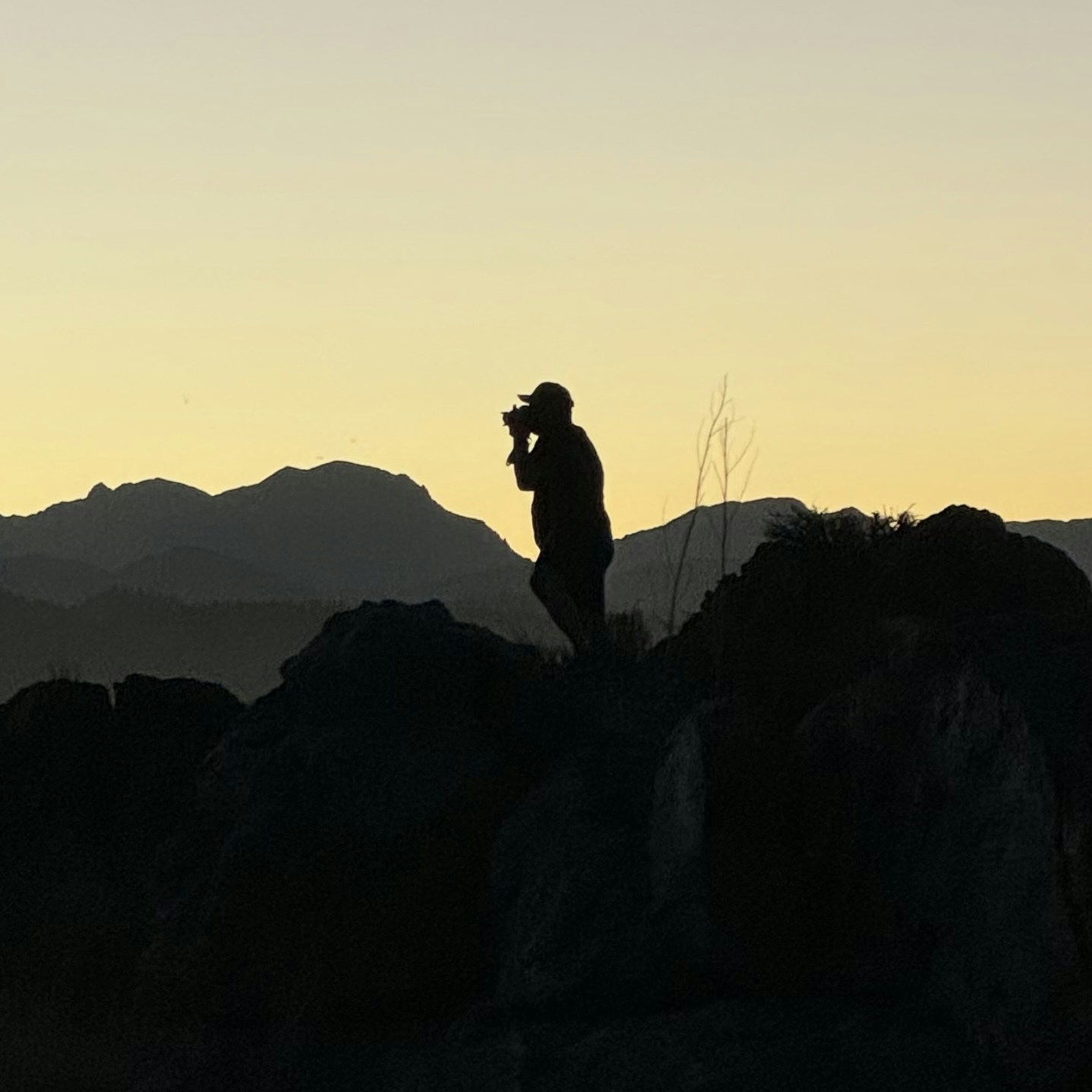 Go to Mark Thomas's profile