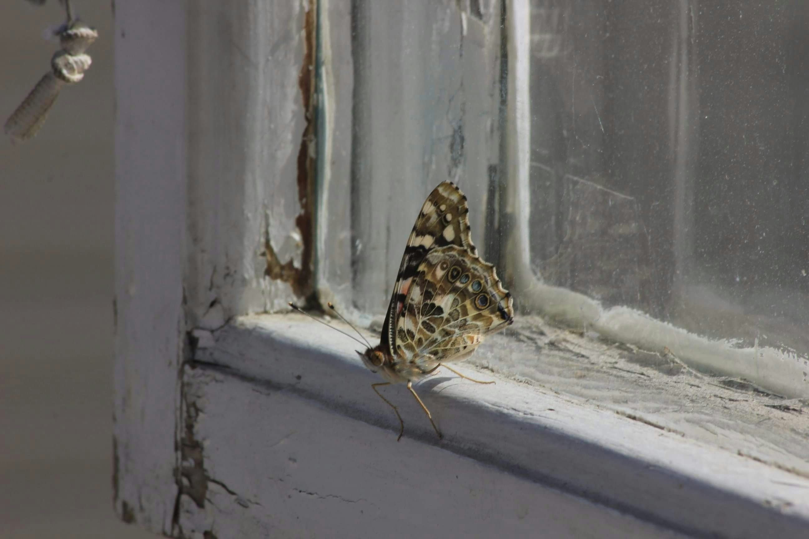 Go to Hanna Johansson's profile