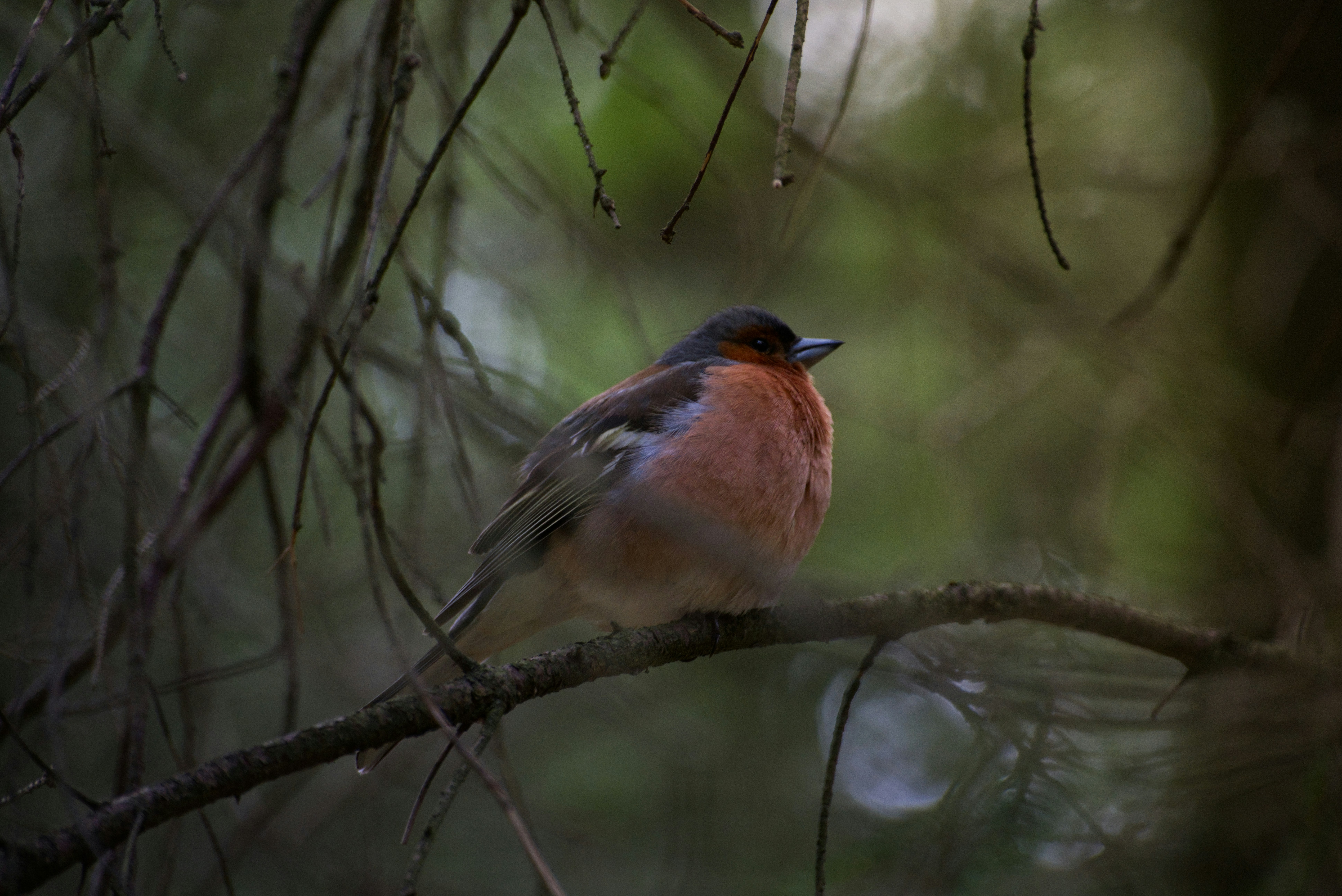 Ve al perfil de Daniel Flø Lode