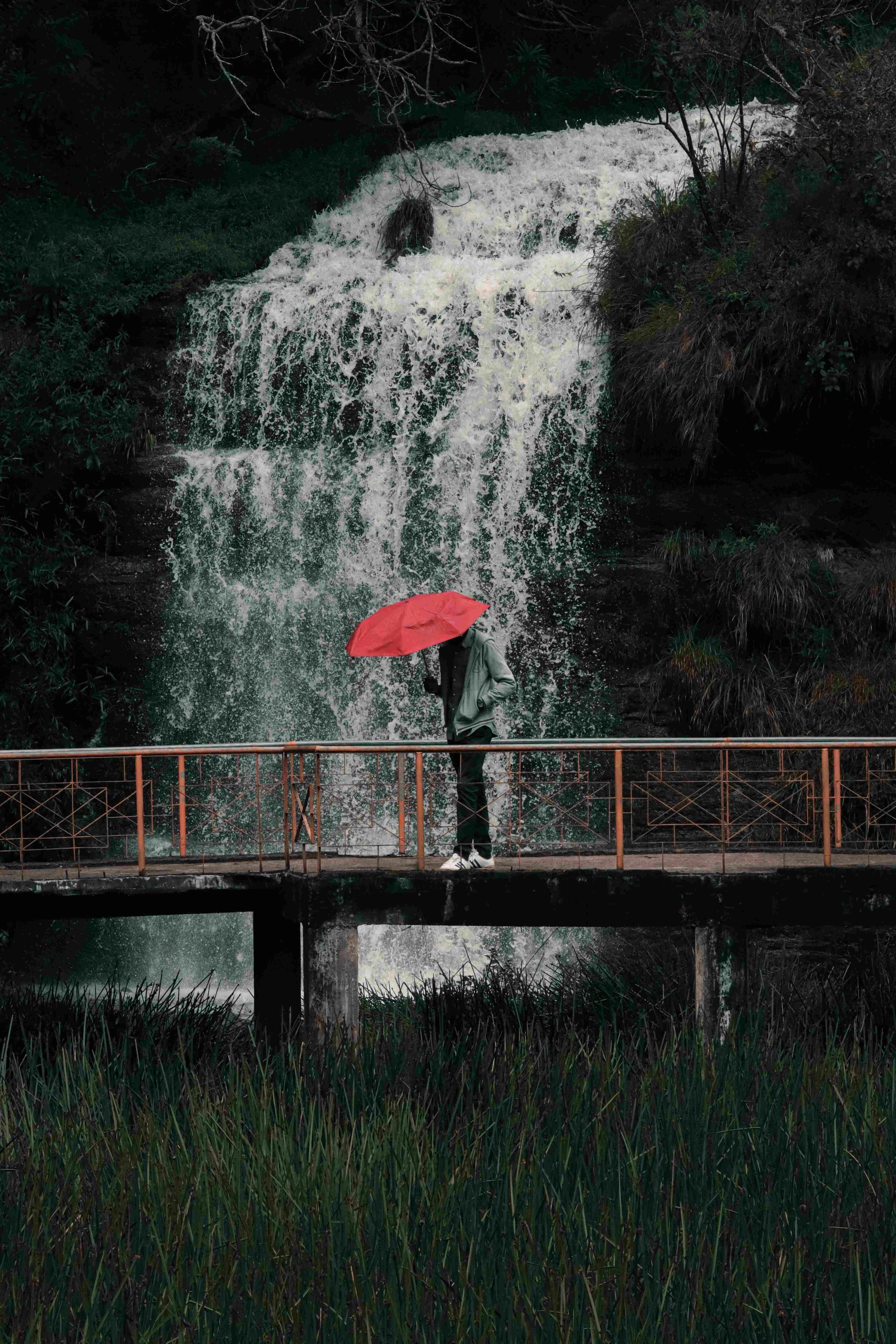 Accéder au profil de Deepak N