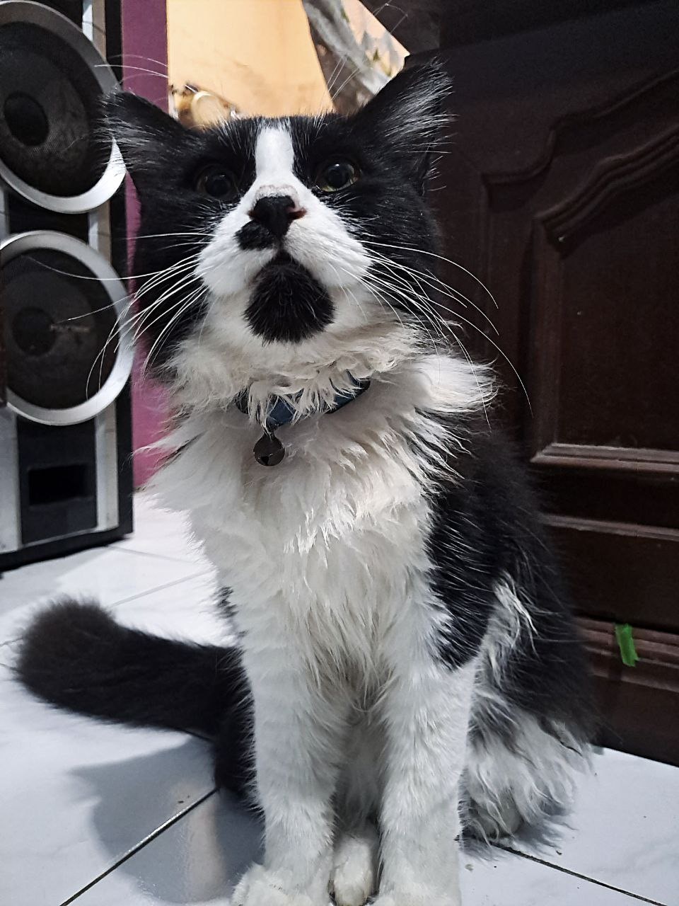 Go to Neokarla Kiko's profile