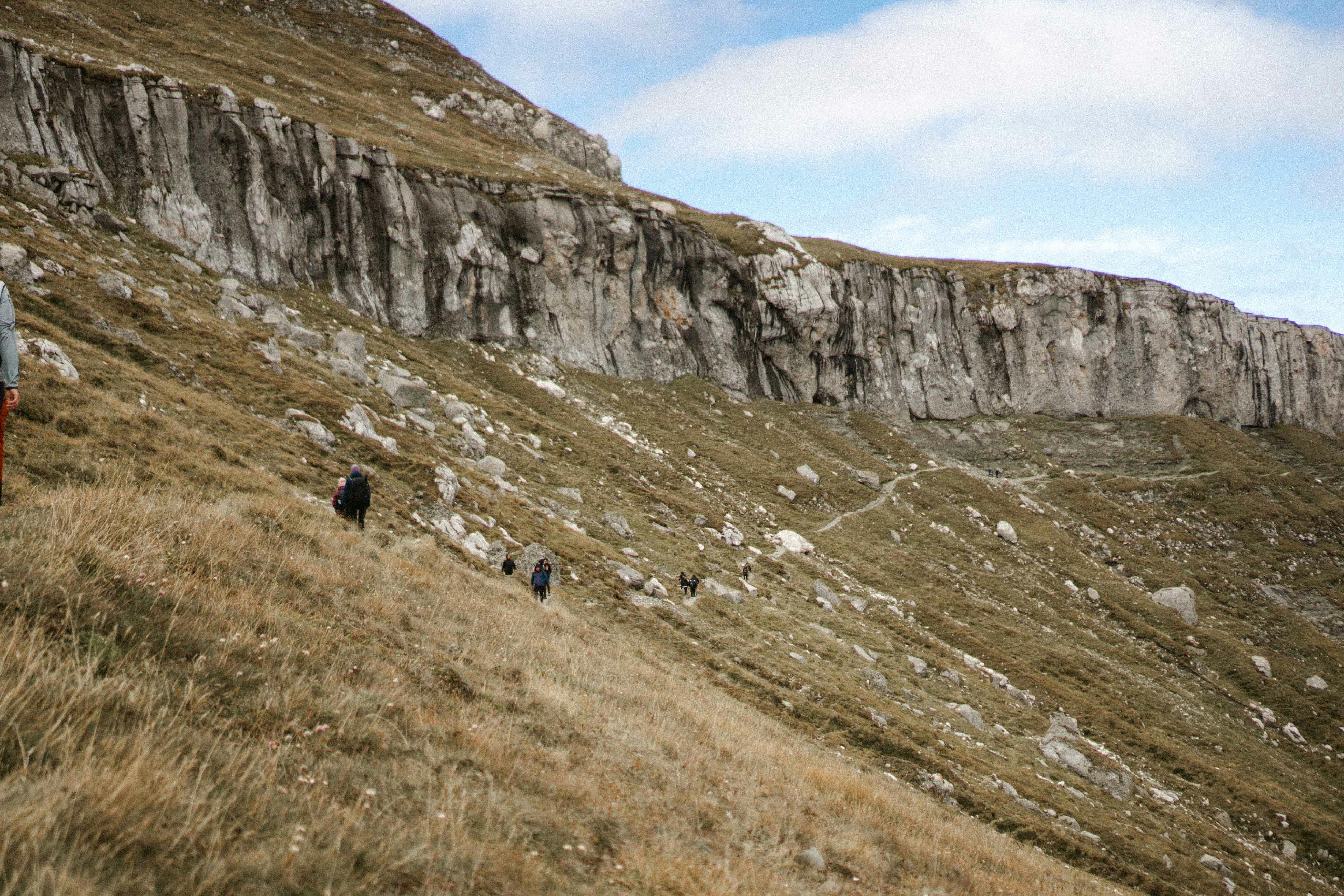 Go to Dorina Perry's profile