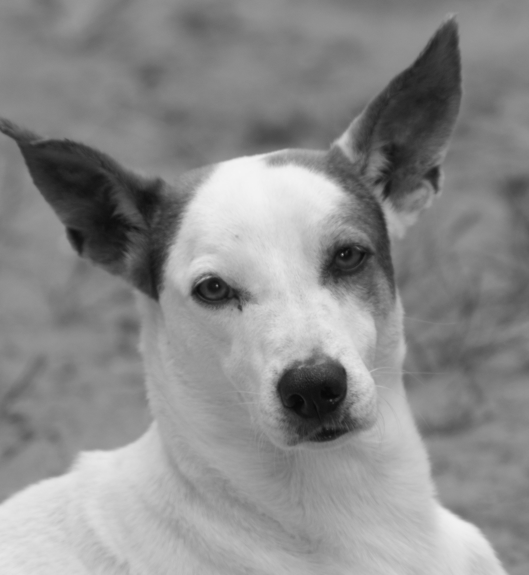 Go to Felipe Ledo A.'s profile