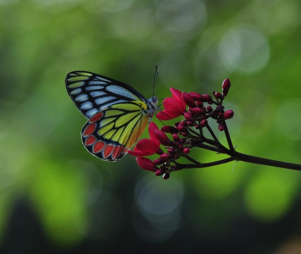 Avatar of user Aarti Bhardwaj