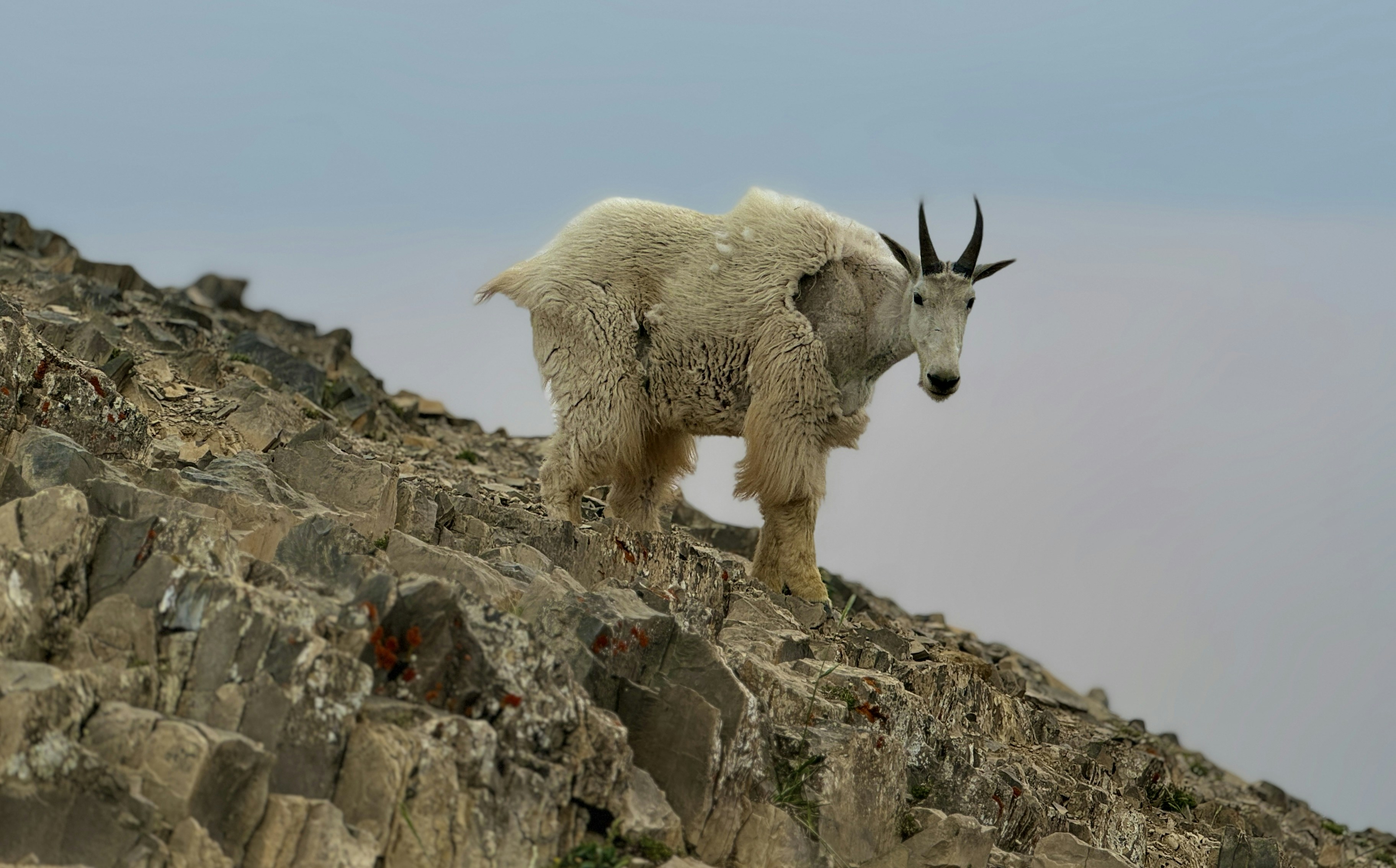 Go to Quinn Savatgy's profile