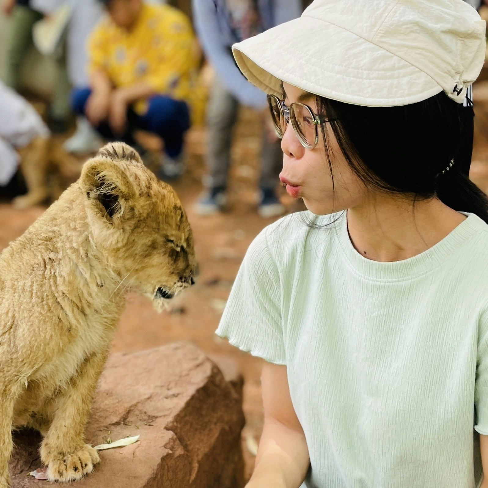 Go to XinYing Lin's profile