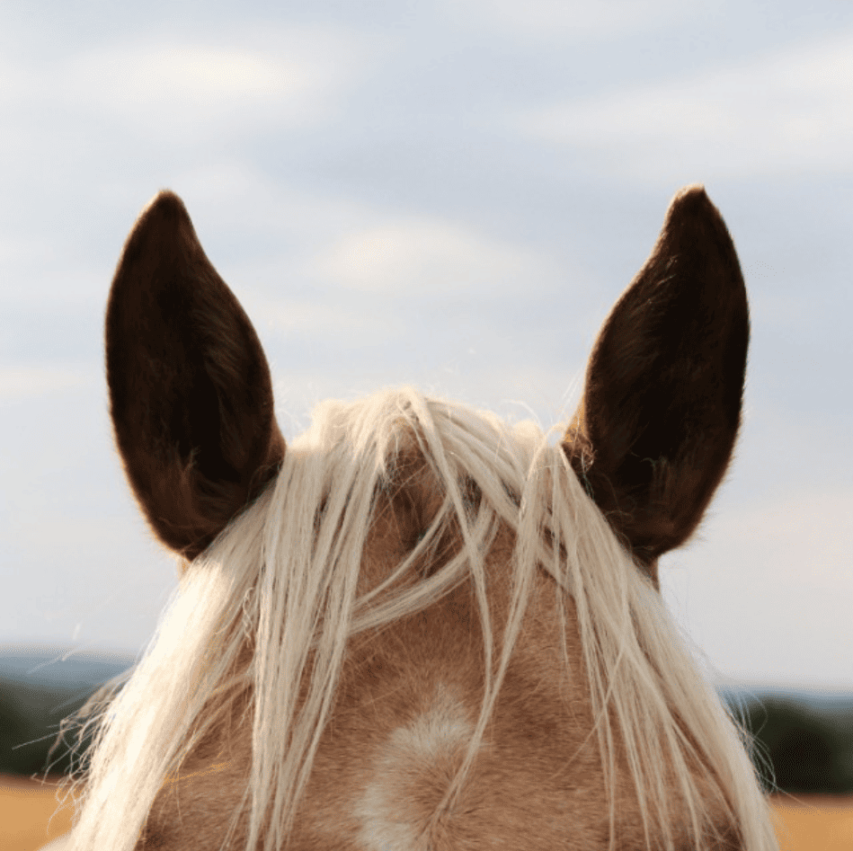 Go to Amine Jammy's profile