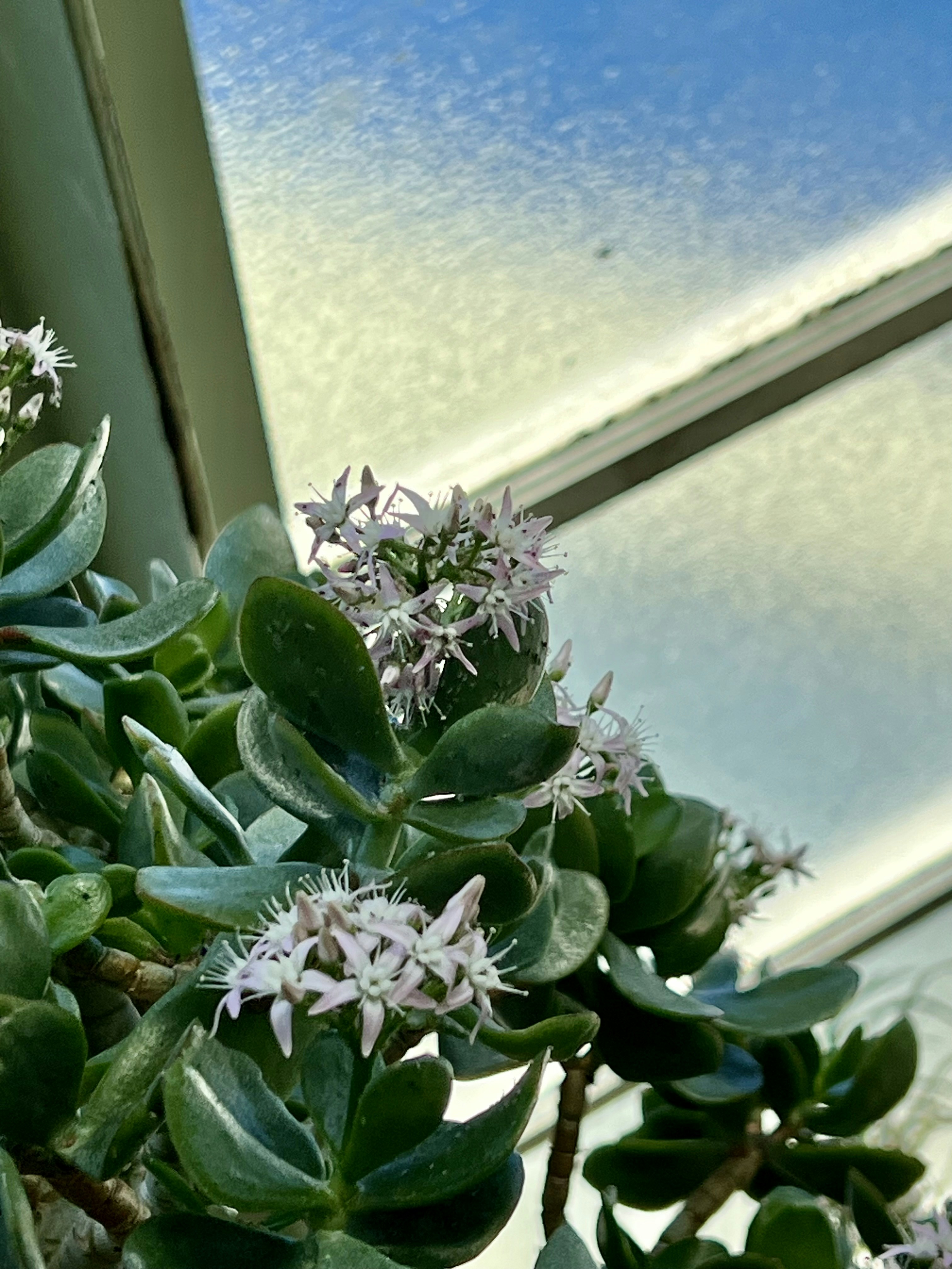 Go to liam matthews's profile