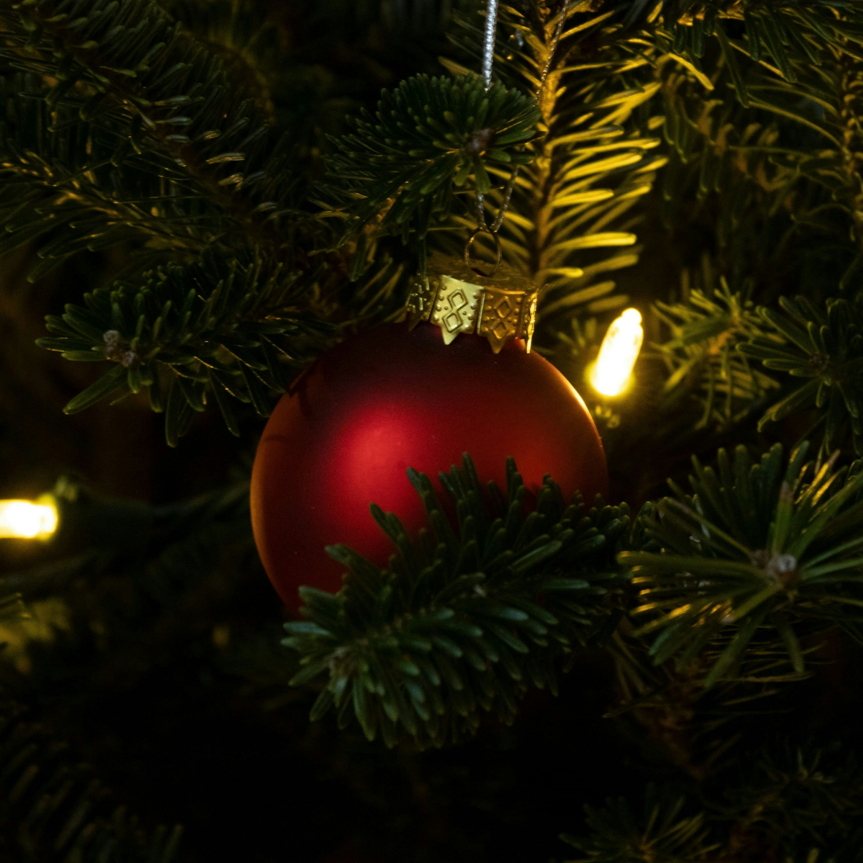 Go to Jason Mayer's profile