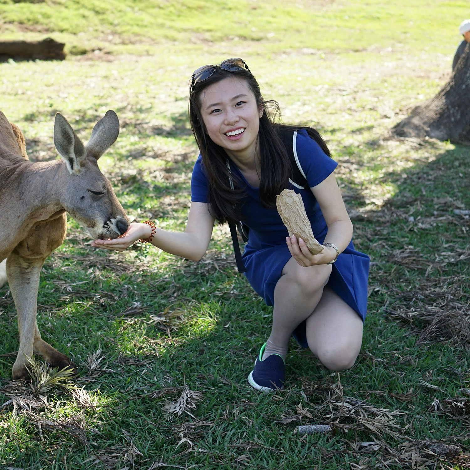 Zum Profil von YQ Tian