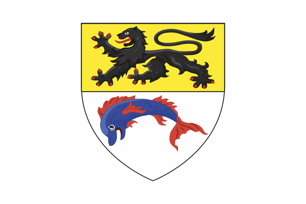 Go to David Flandre's profile