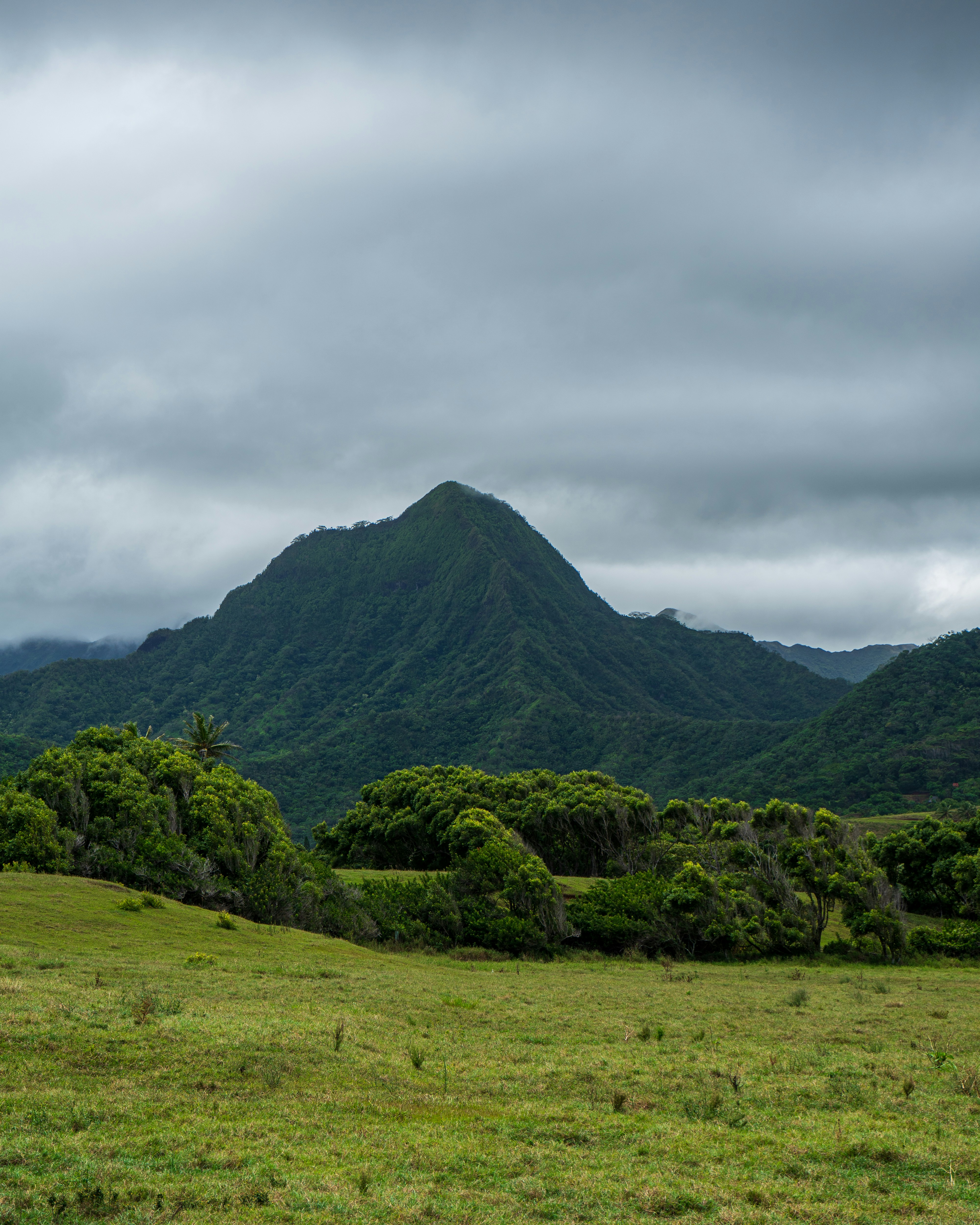 Go to Mankaran Cheema's profile