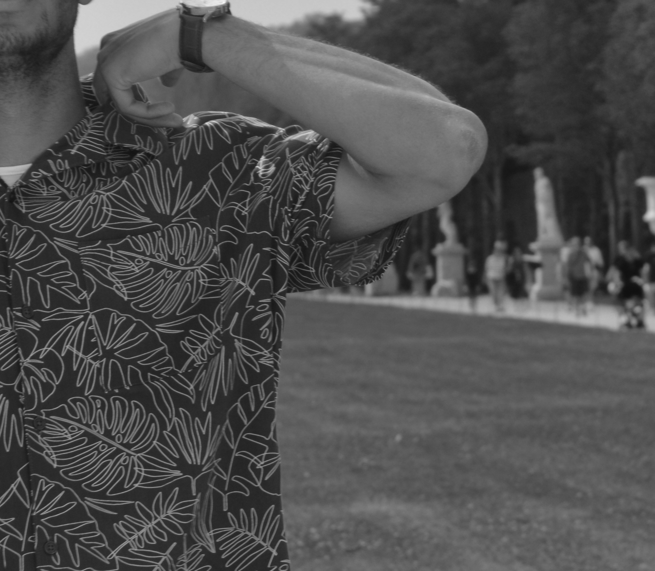 Go to Davinio Finies's profile