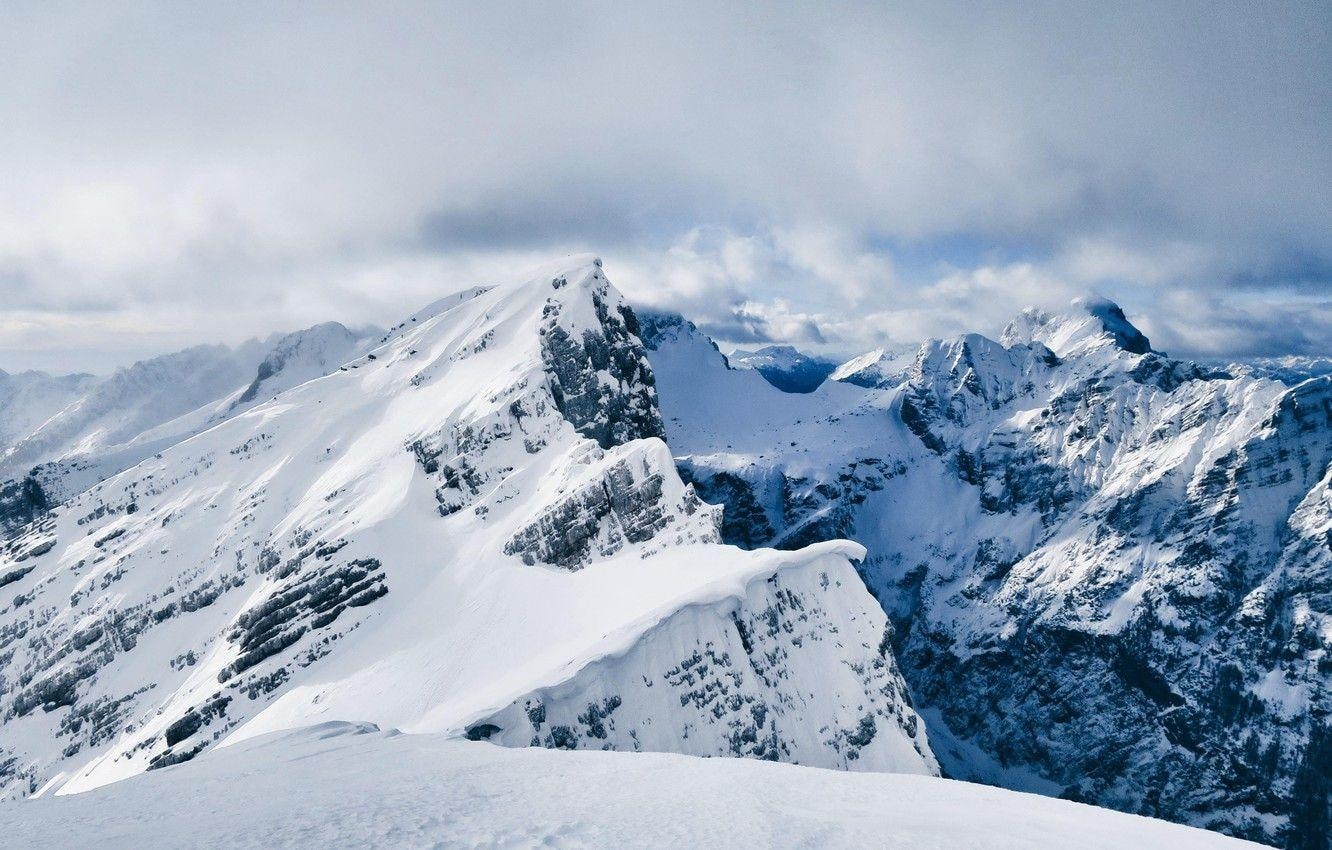 Go to Developer's profile