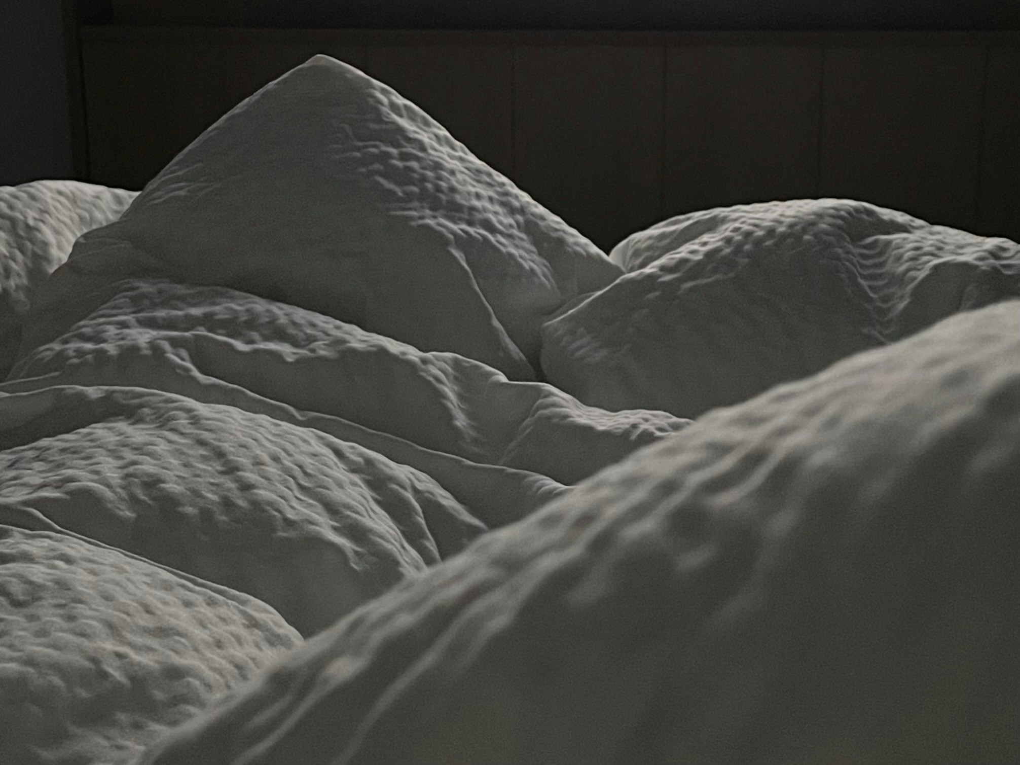 Vai al profilo di Yanhao Fang