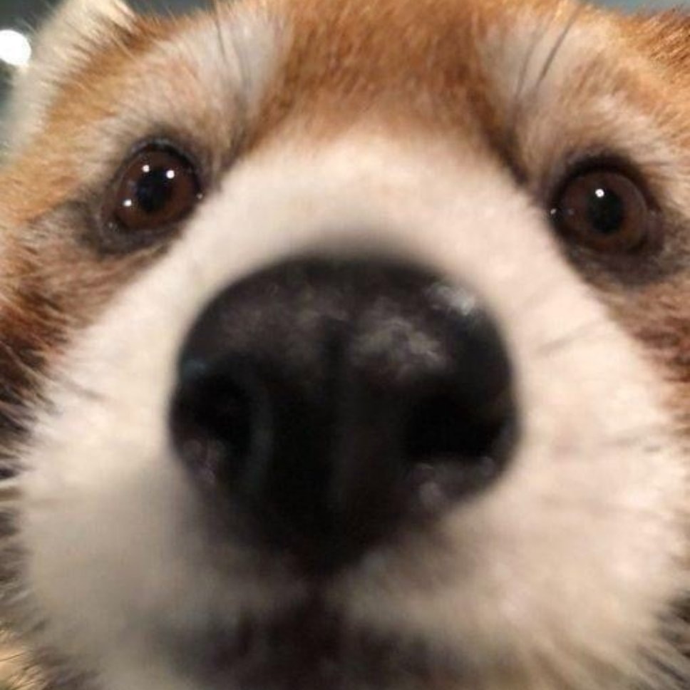 Avatar of user KazoooTTT