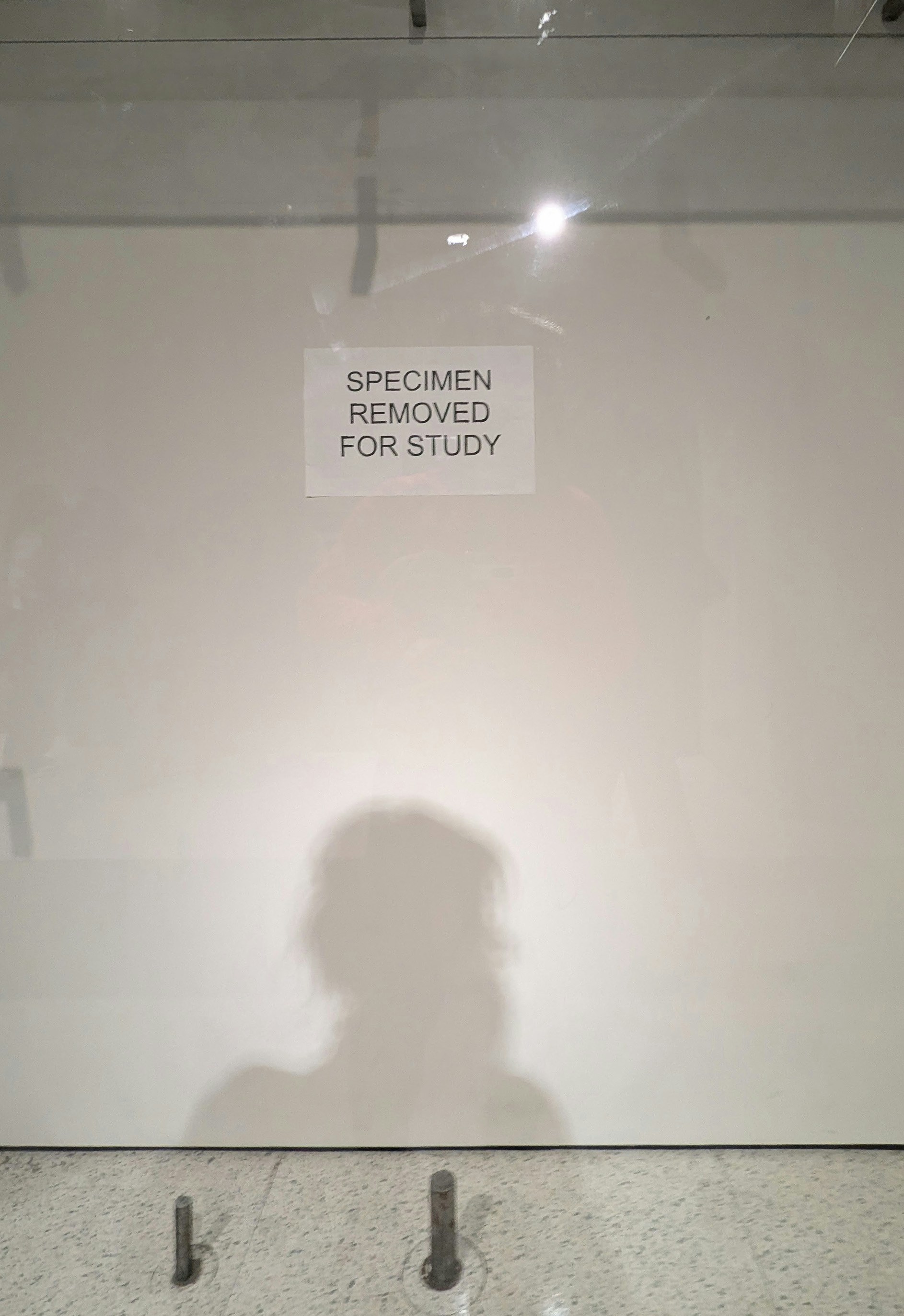 Nancy Leeのプロフィールを見る