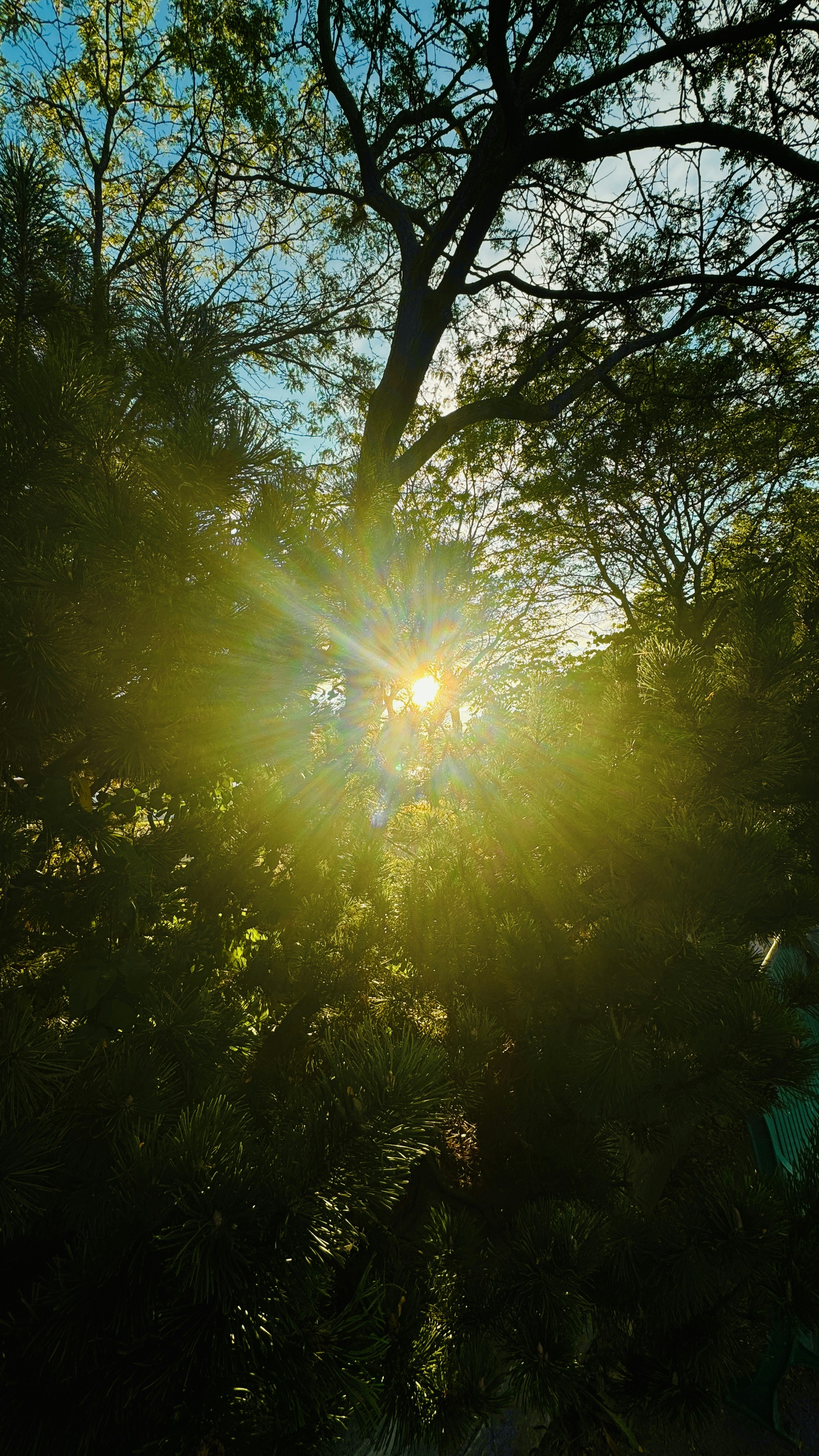 Go to Sahā's profile