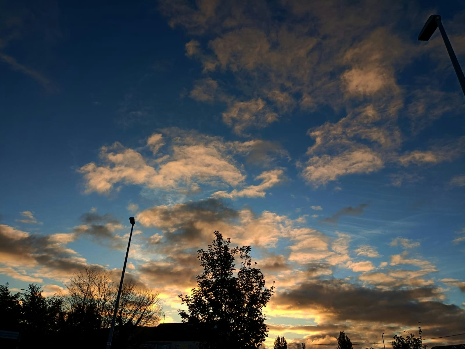 Zum Profil von Nistala Maneesh