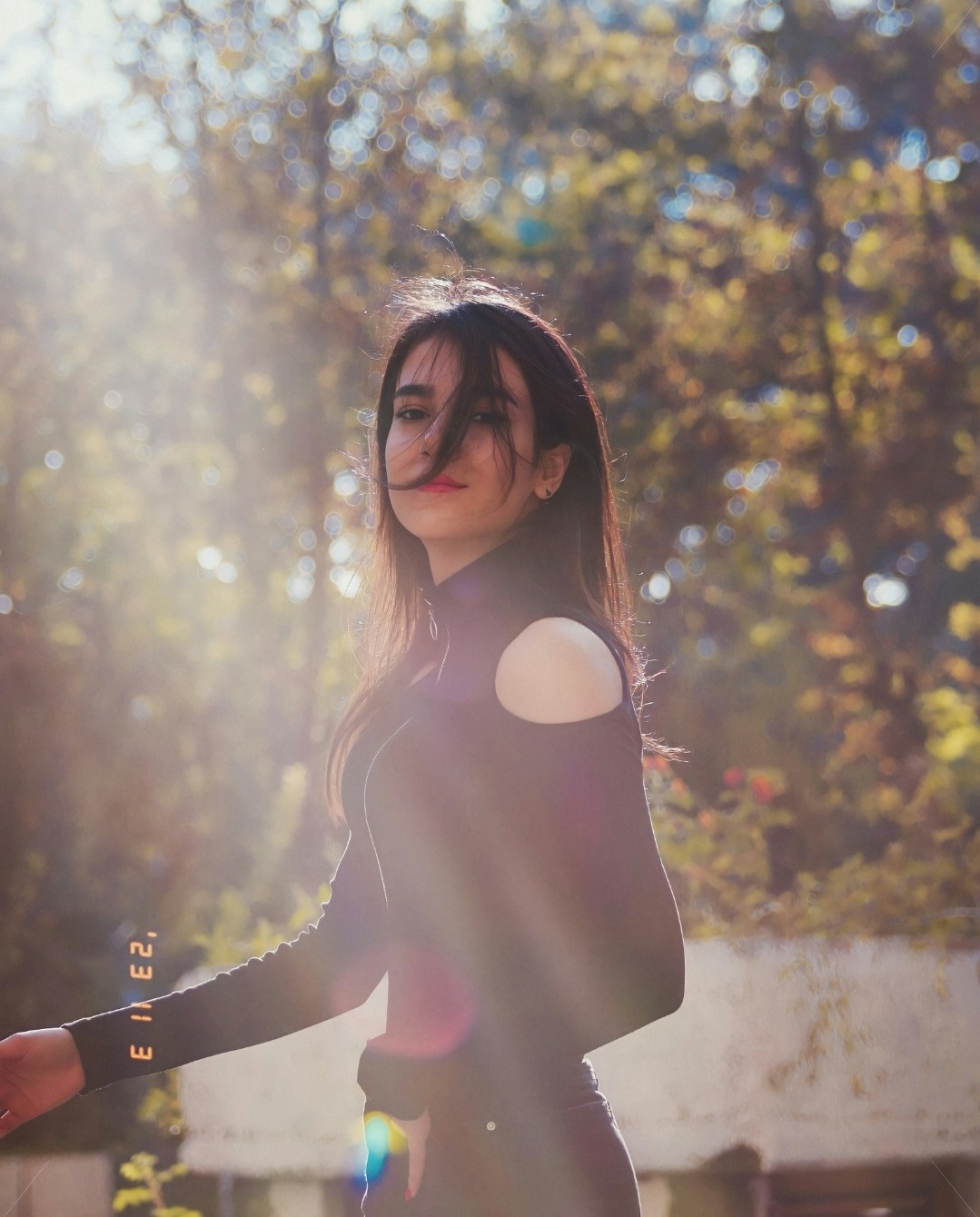 Go to Sdf Rahbar's profile