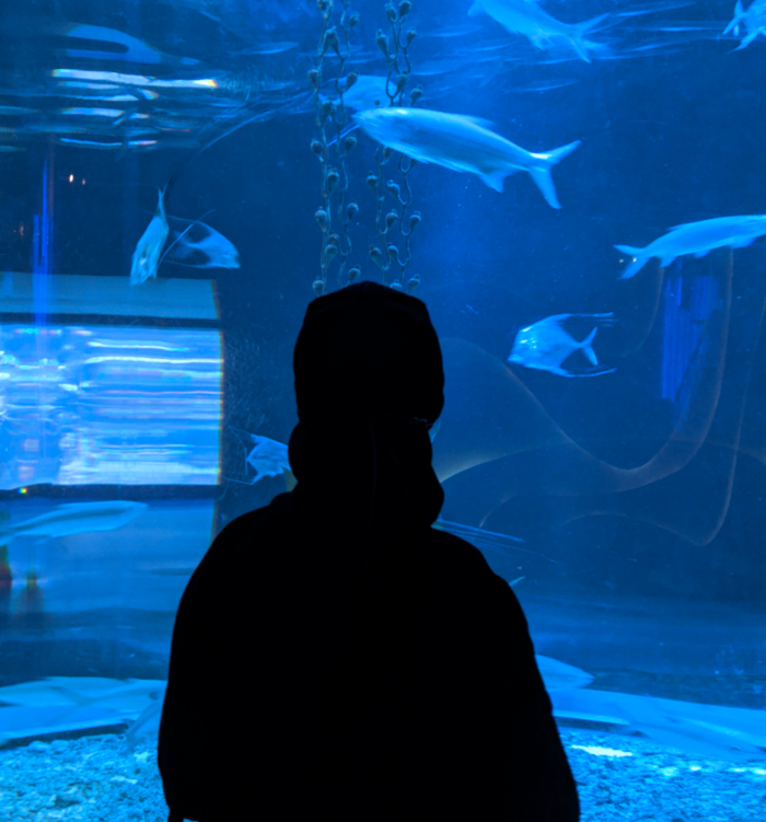 Go to j dhaiwin's profile