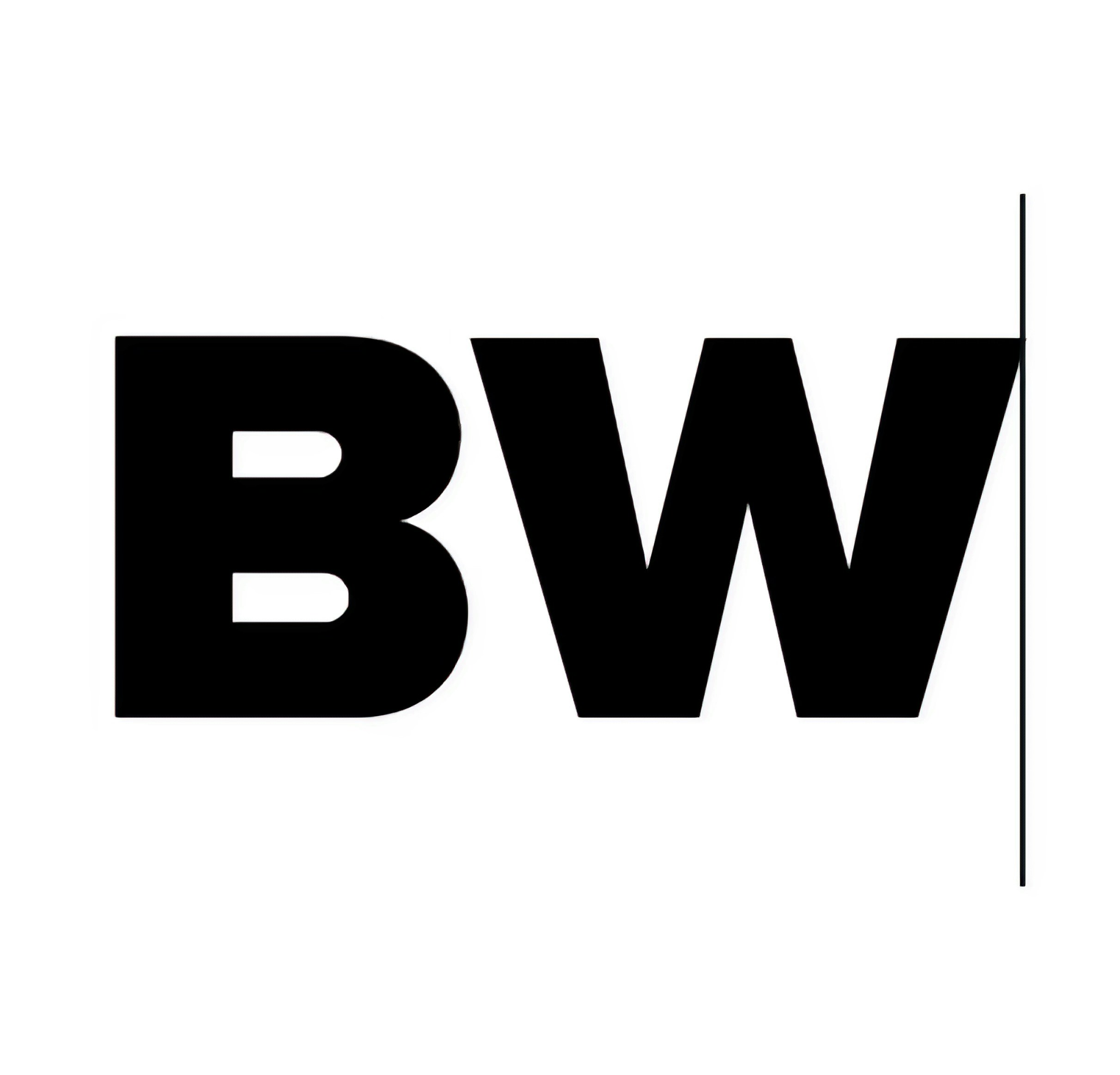 Go to Brian Wangenheim's profile