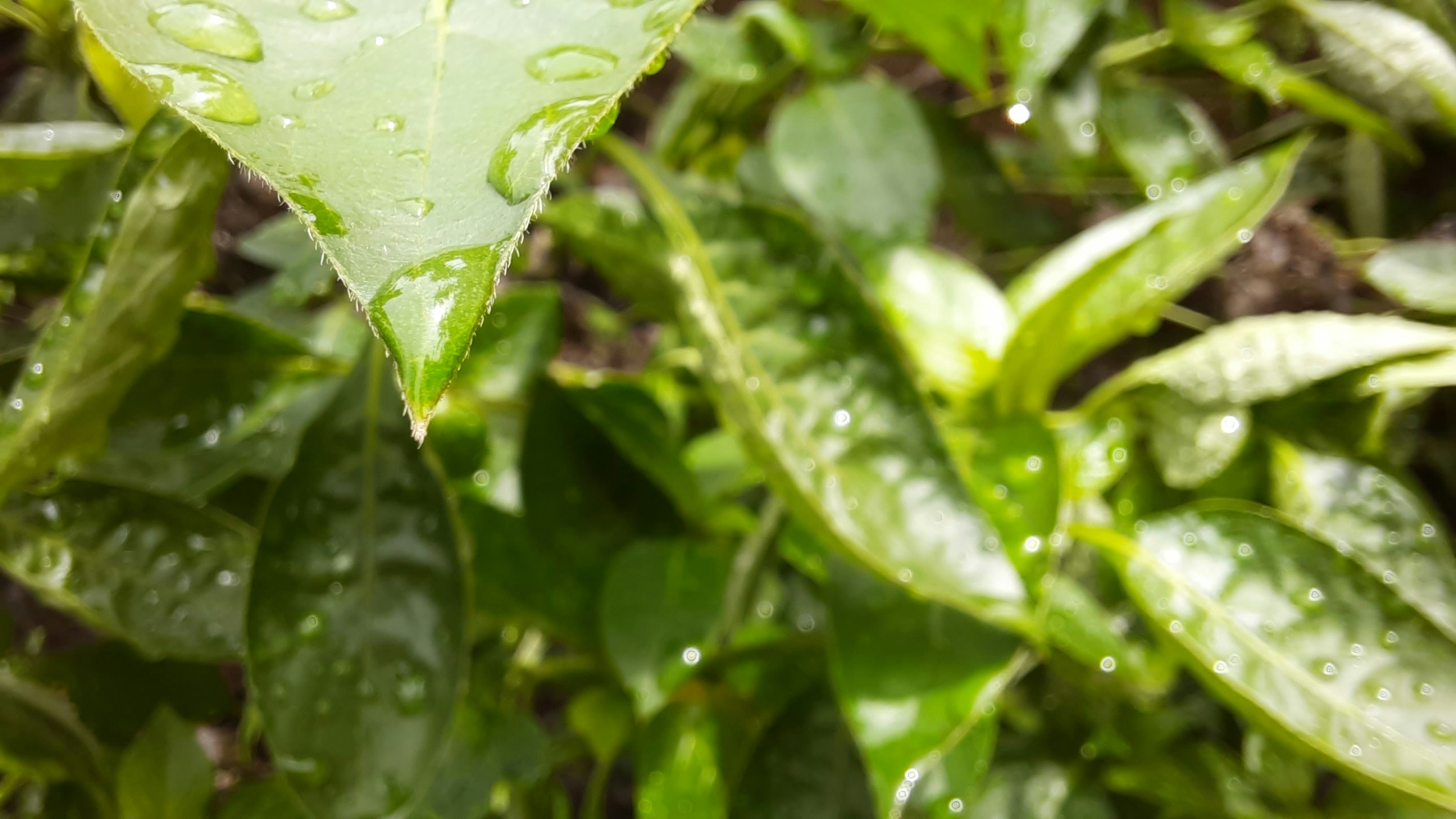 Go to Kruthi's profile