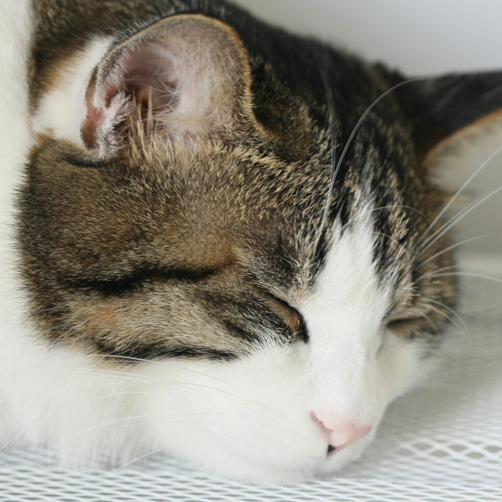 Go to Zheng Kai's profile