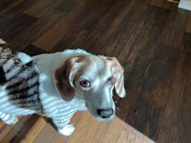 Go to Cody Baird's profile