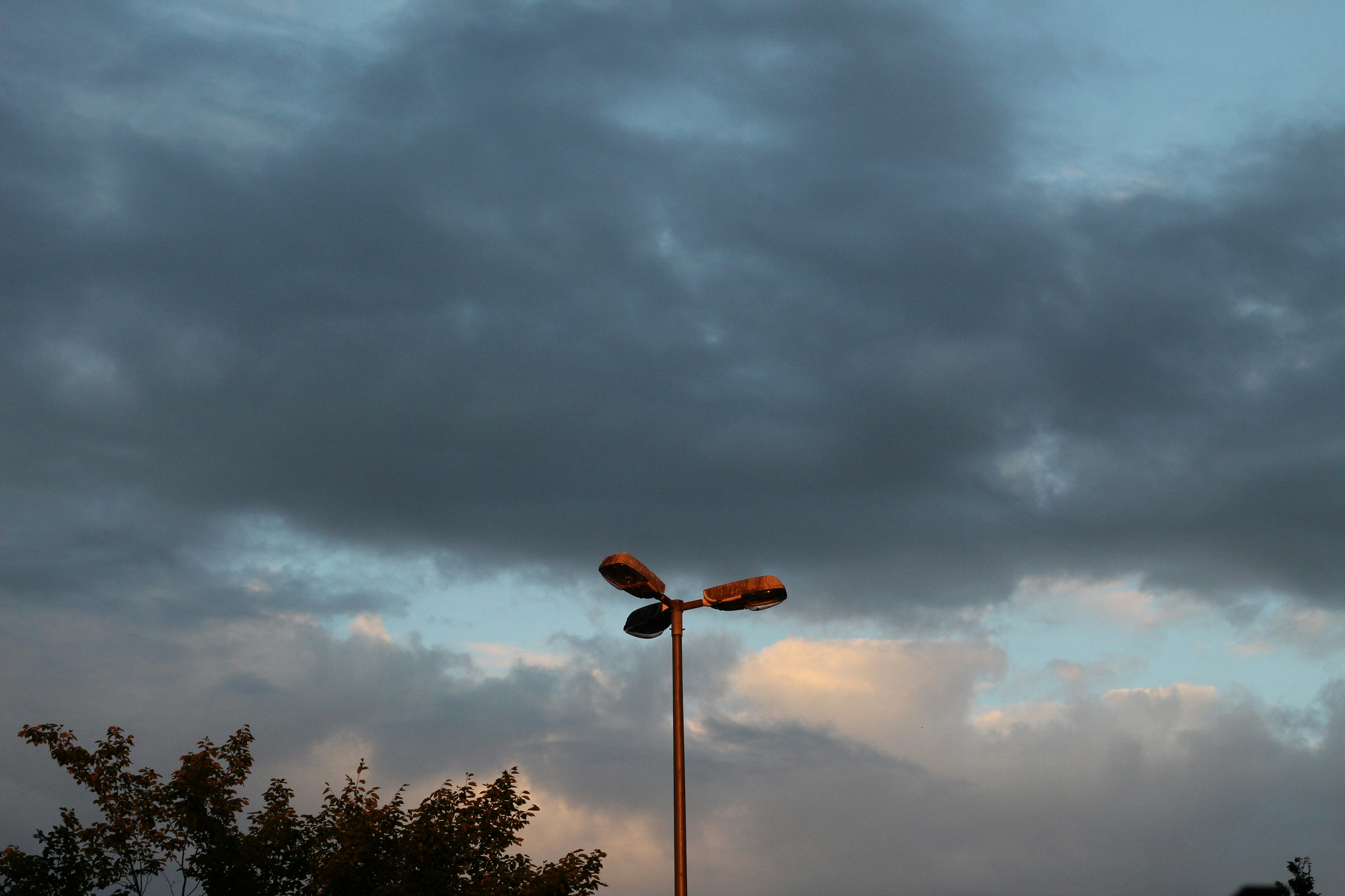 Avatar of user 𝙻𝚎𝚊