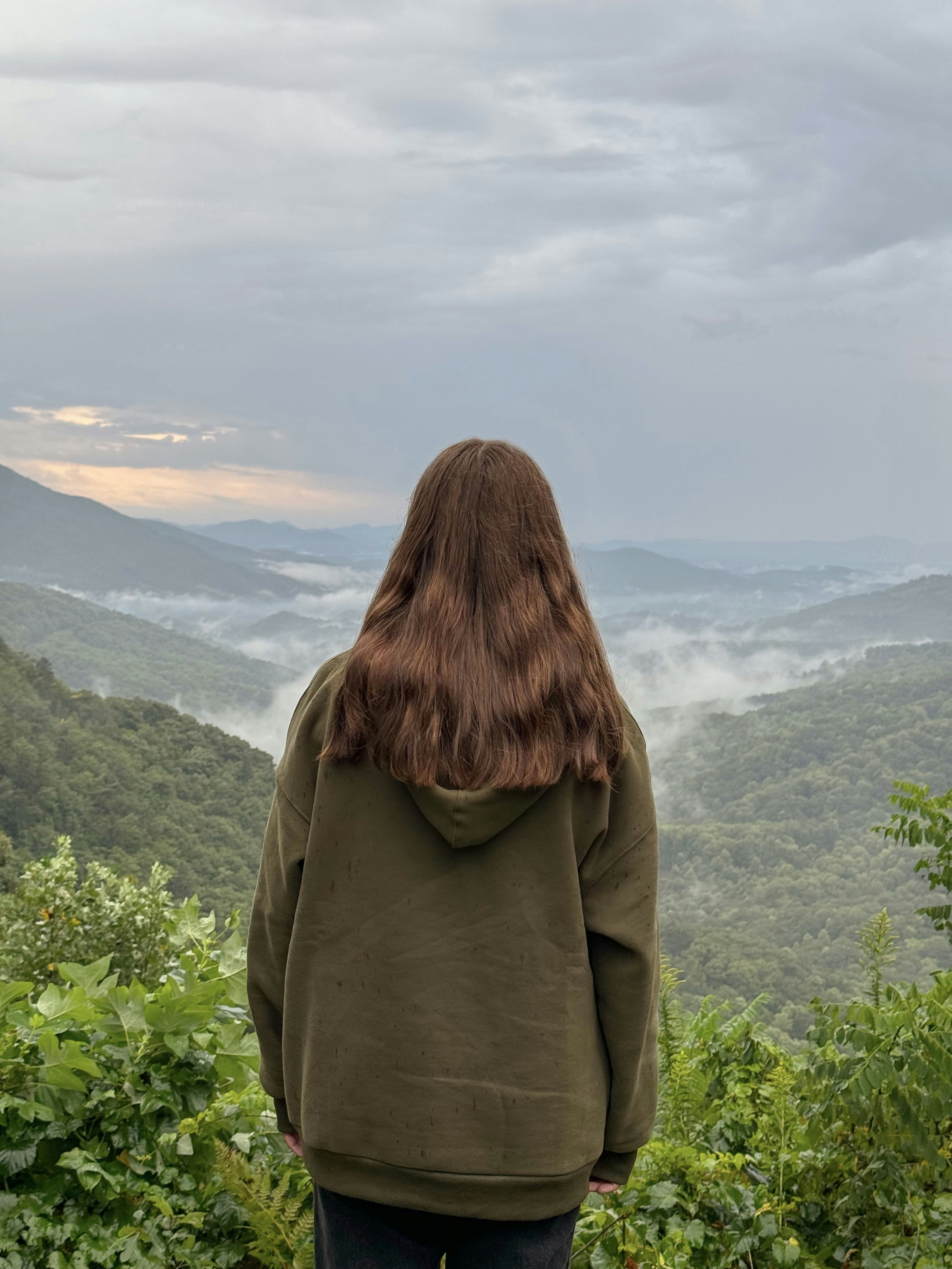 Go to Ellie Cavin's profile