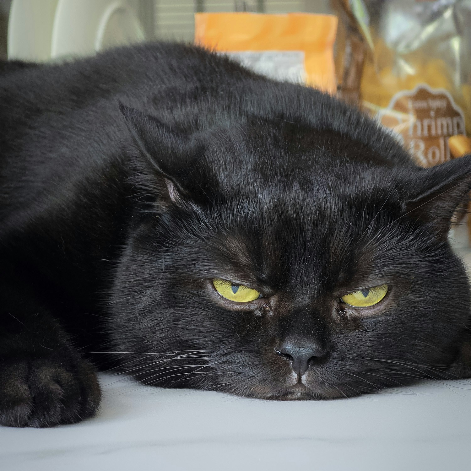 Go to Helmi Tan's profile