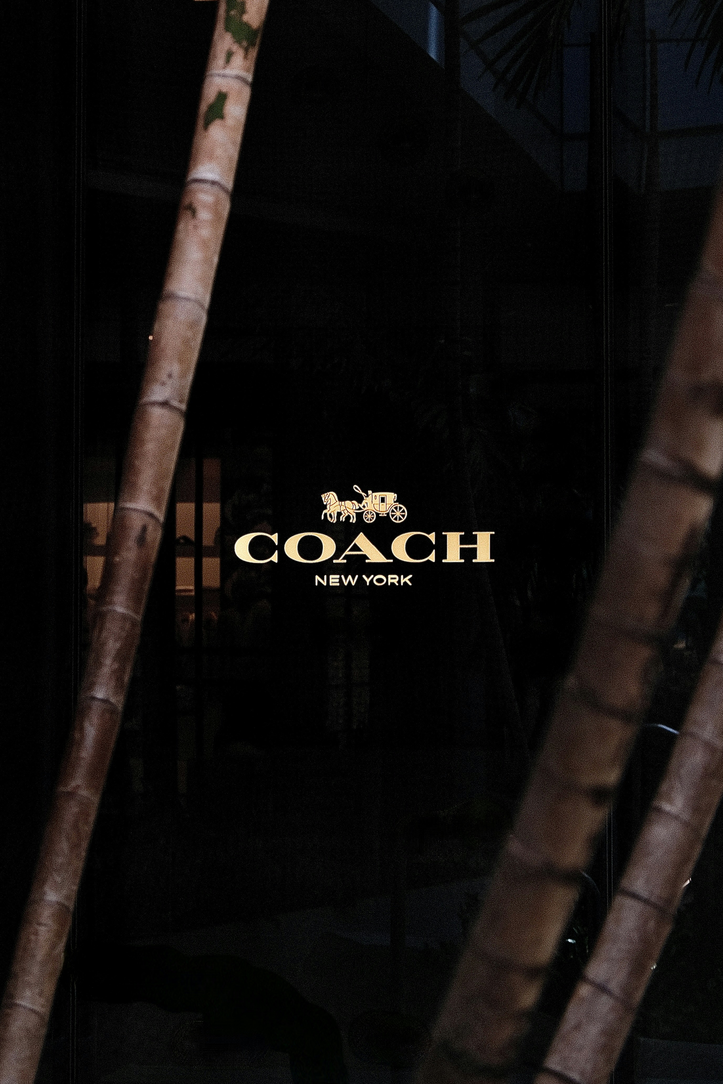 Go to Adrian Kusznirewicz's profile