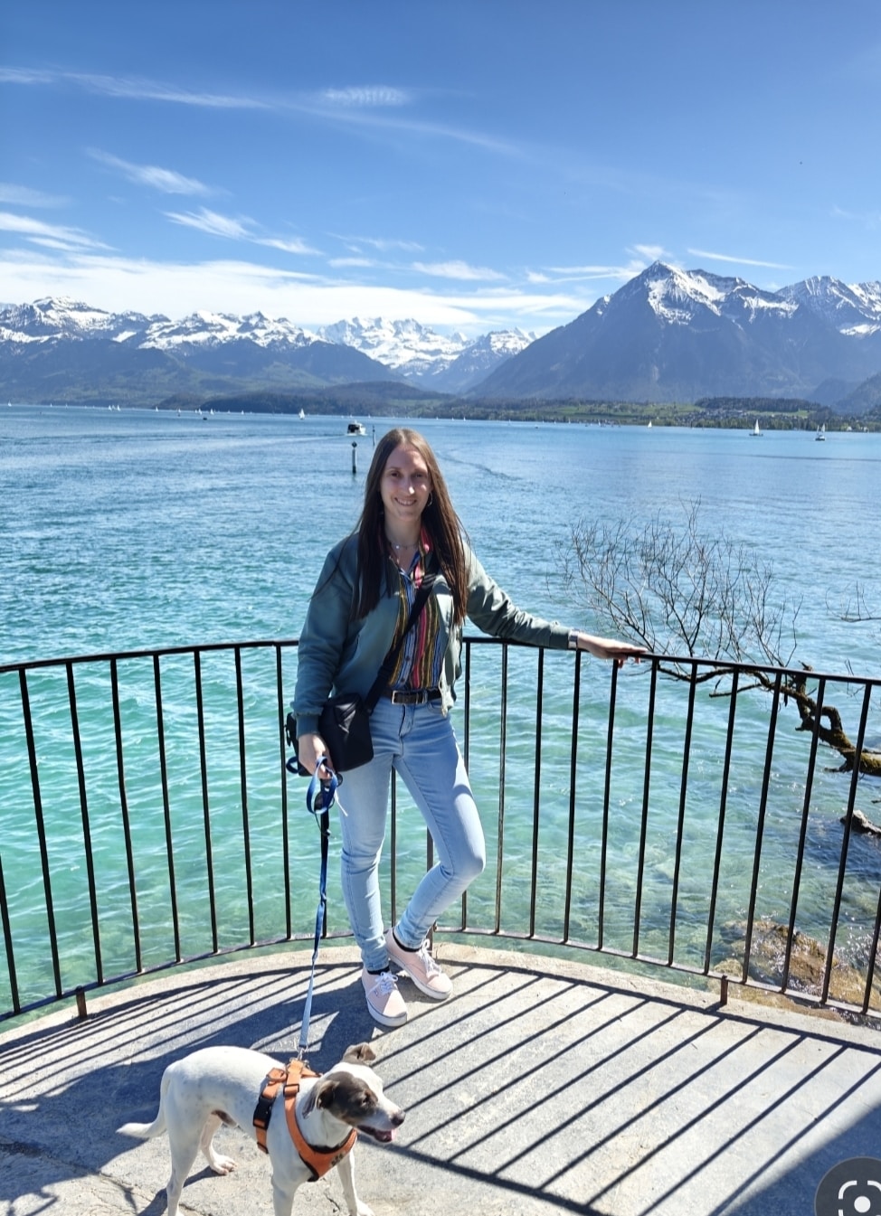 Go to Dana Gärtner's profile