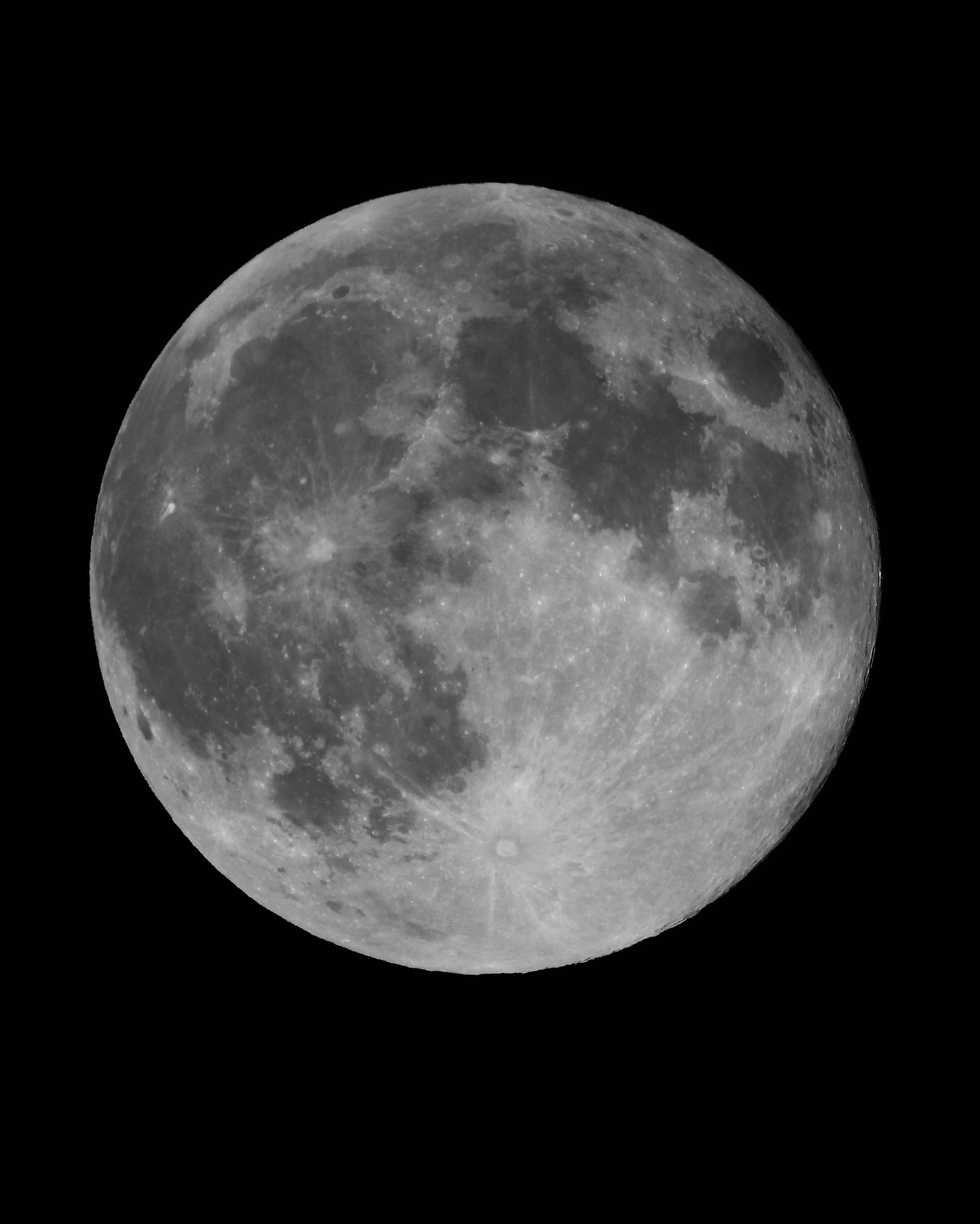 Go to Mori M's profile