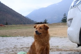 Ir para o perfil de Dravin Gupta