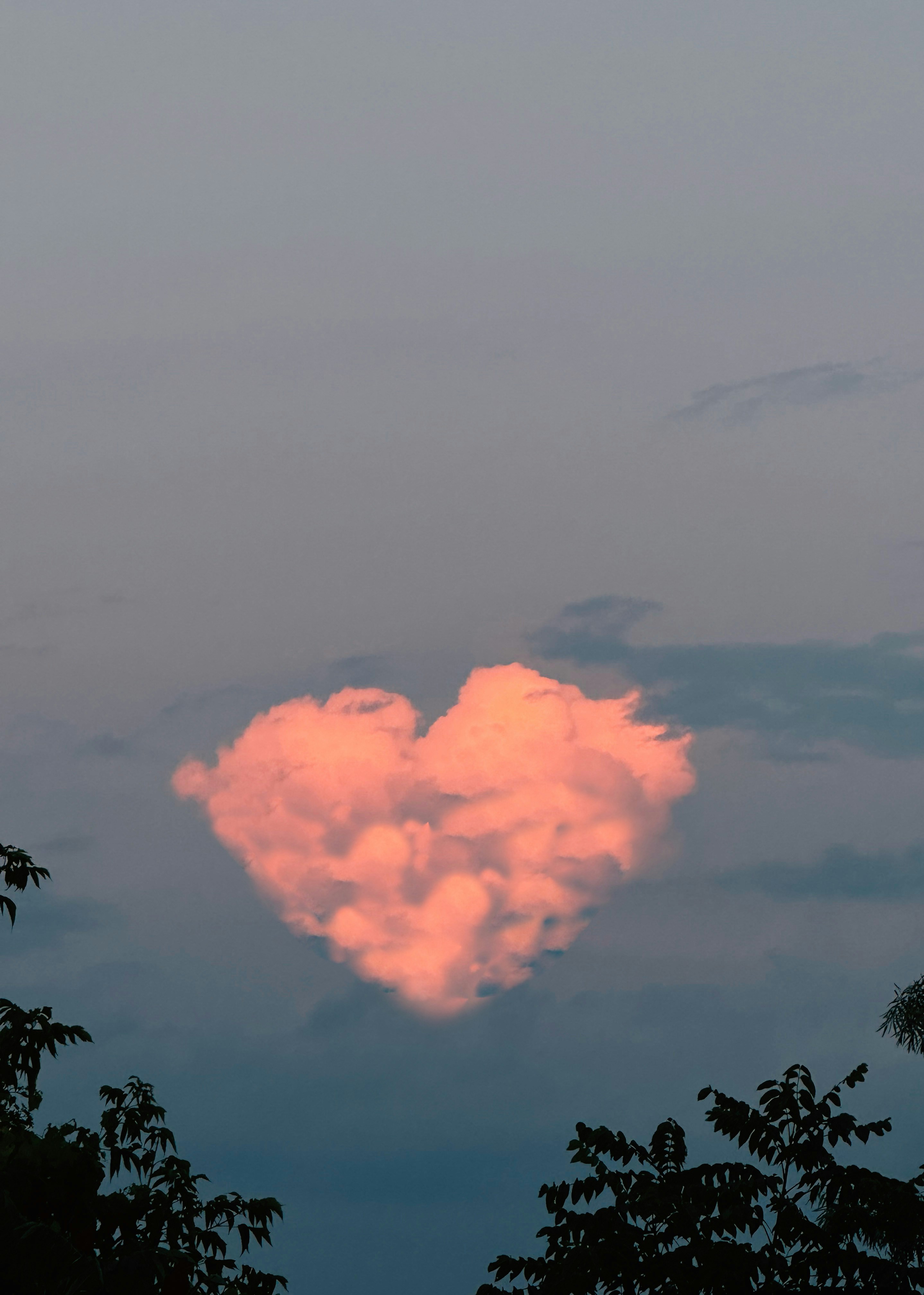 Go to Jerry Wei's profile