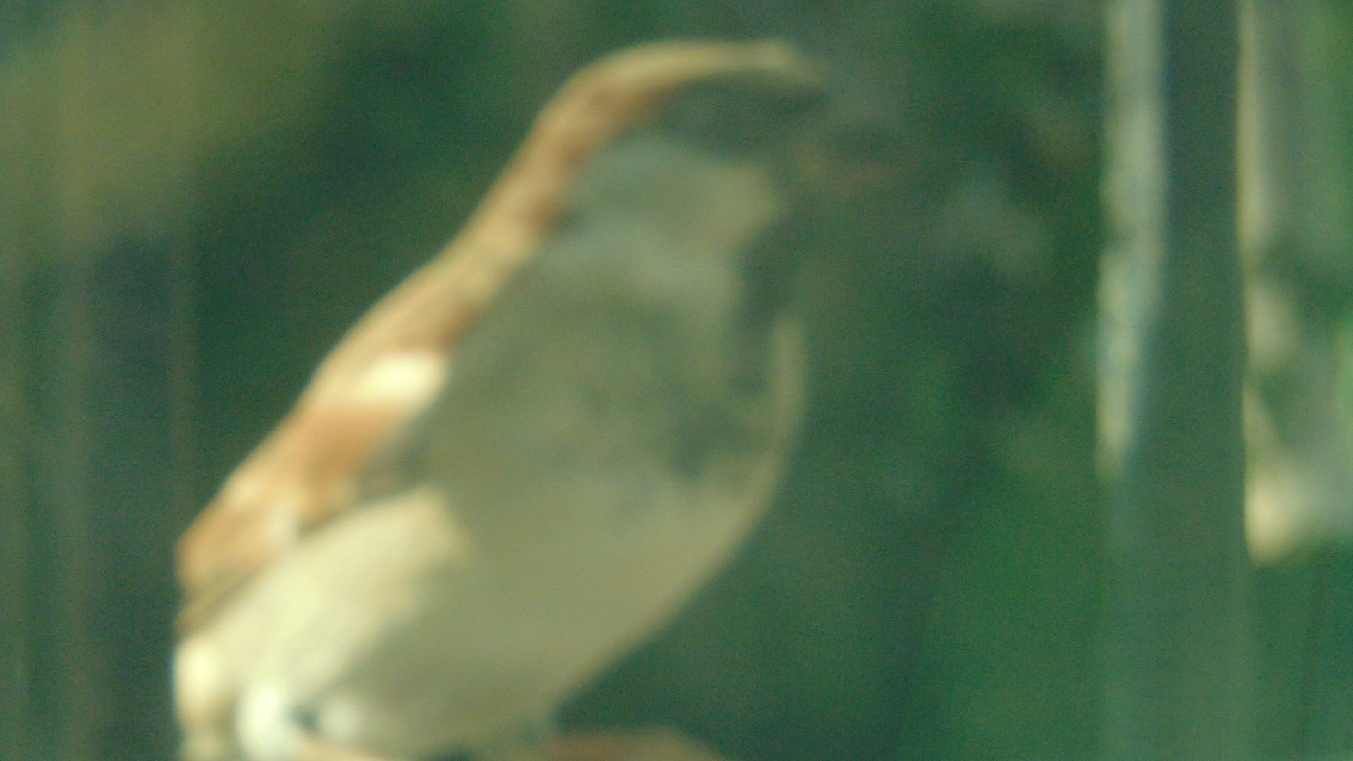 Go to Muhammad Usama's profile