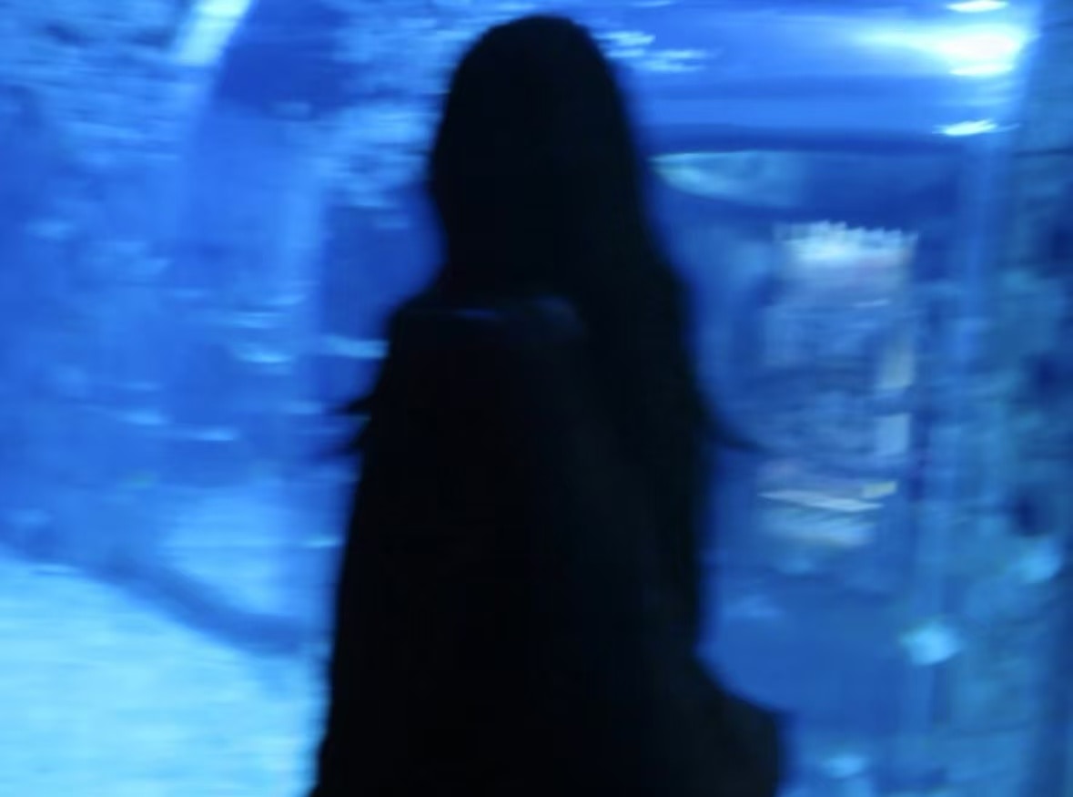 Avatar of user Cici Hung