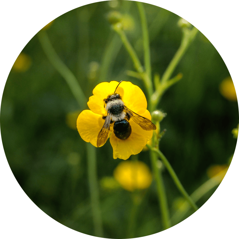 Go to Oscar McGlone's profile