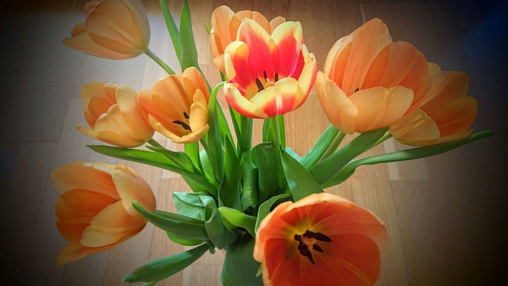 Go to Maria M.'s profile