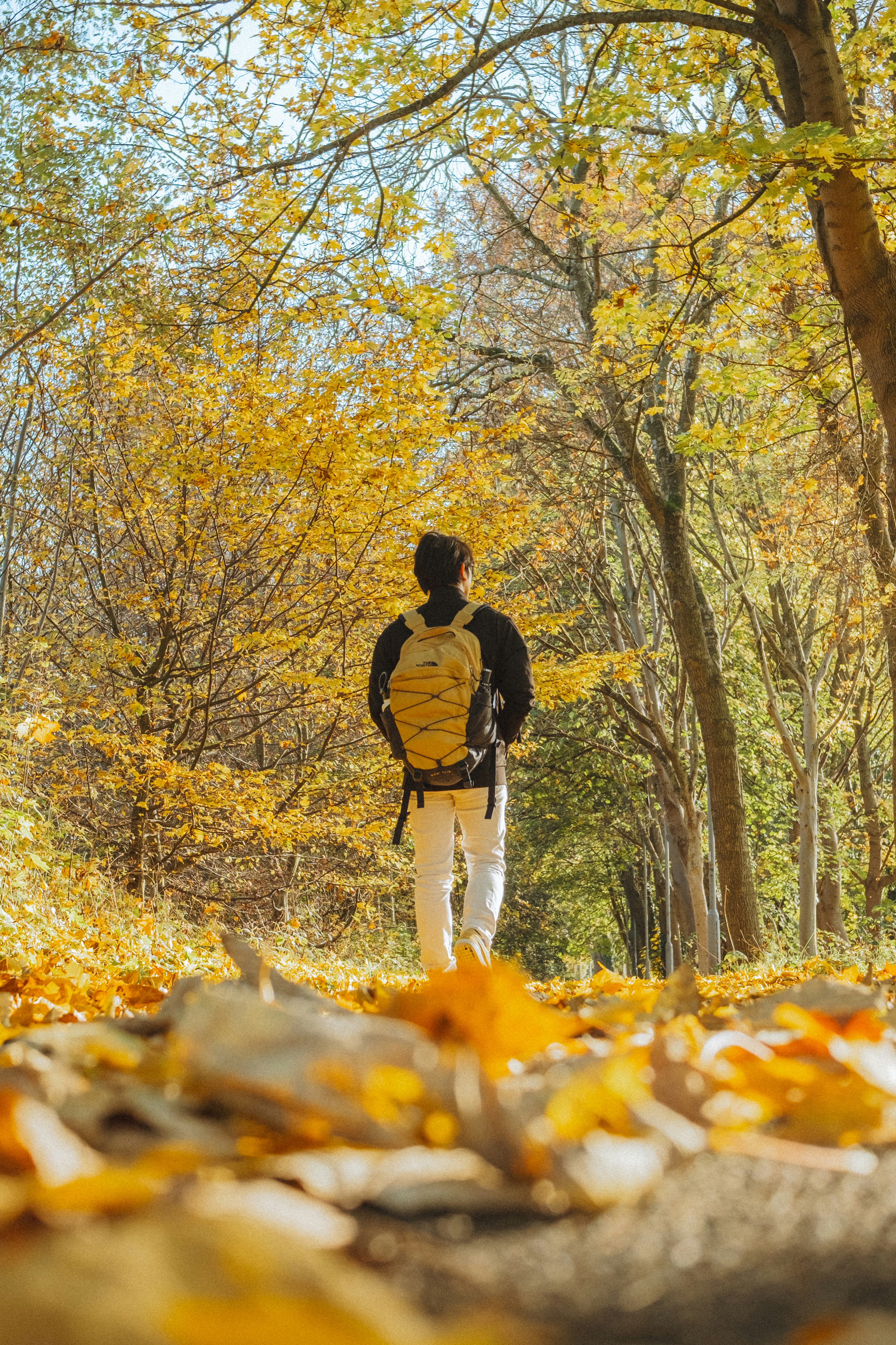 Go to Atif Haiqal's profile