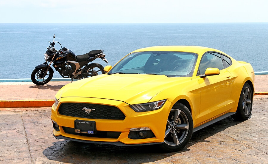 Zum Profil von Zain Creations