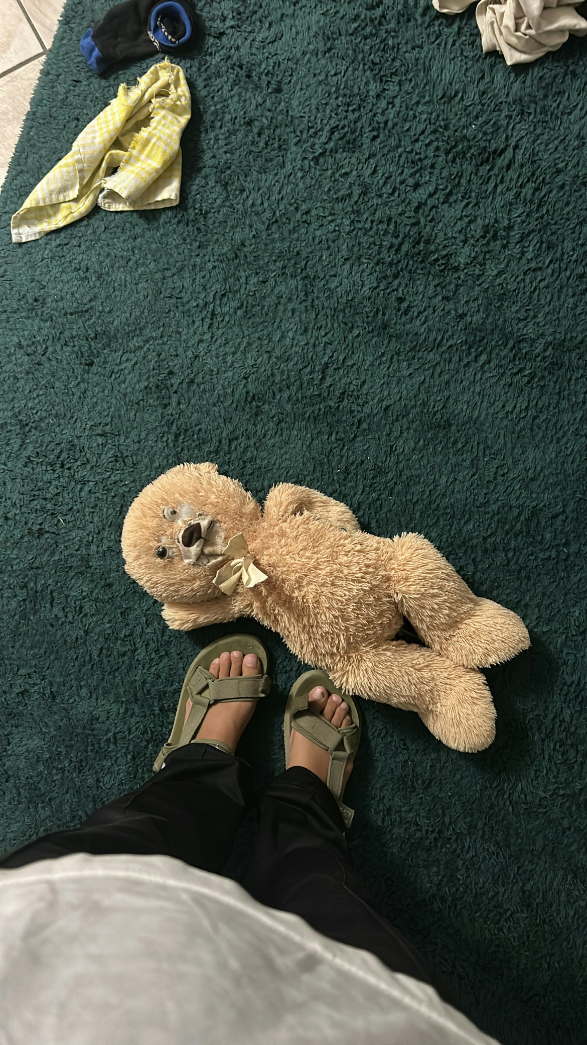 Go to Giselle Vargas's profile