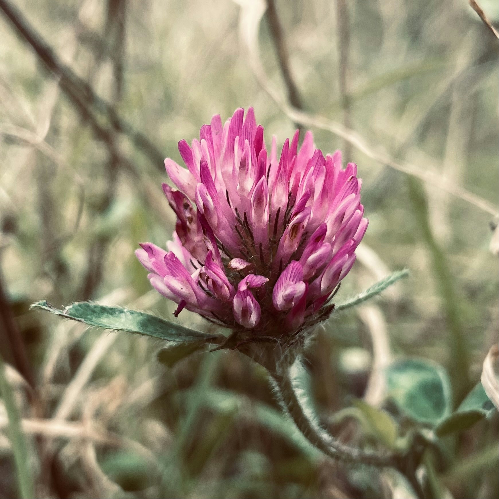 Ve al perfil de Sophie Haigh