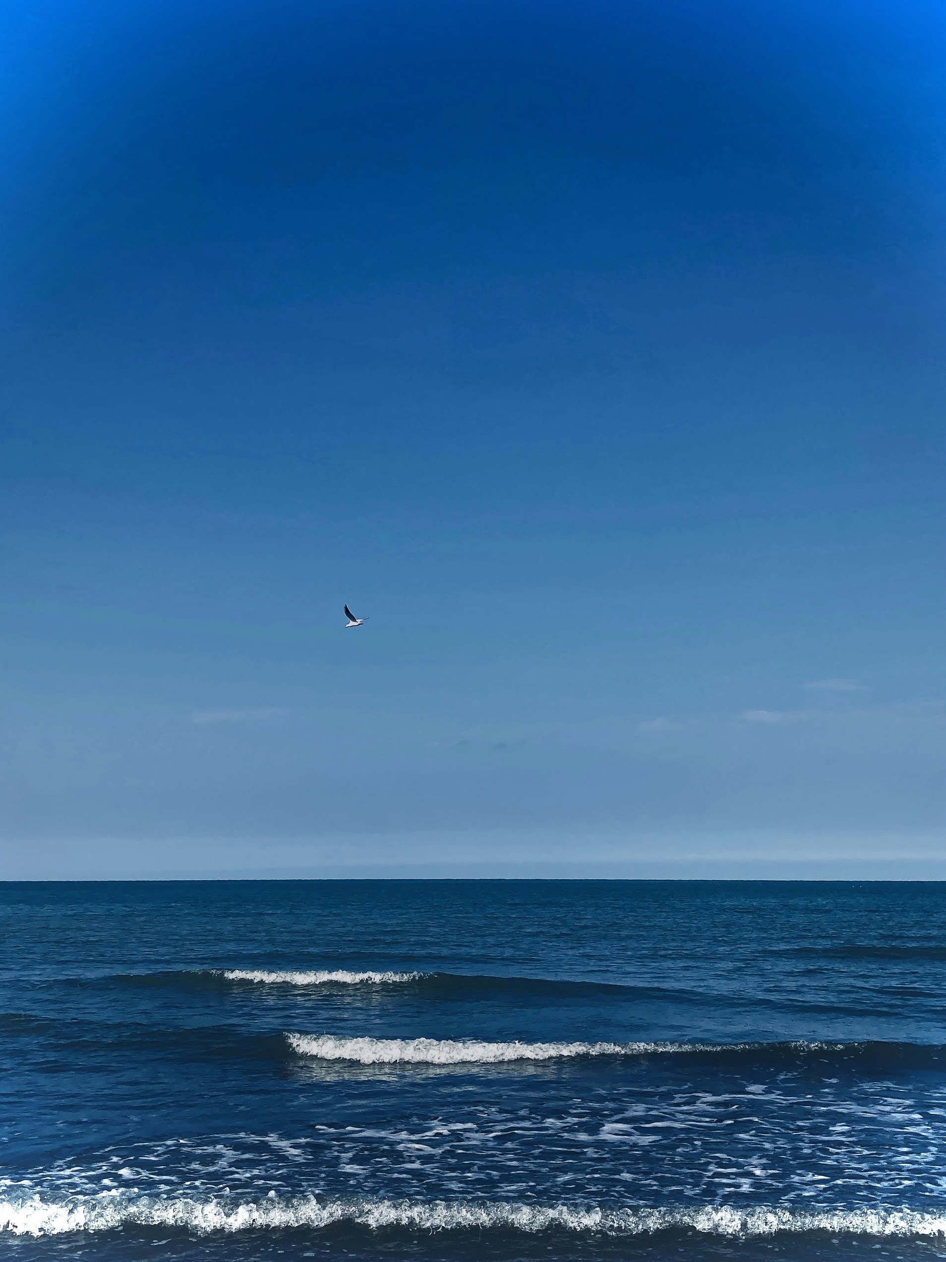 Avatar of user Darya Kazemi