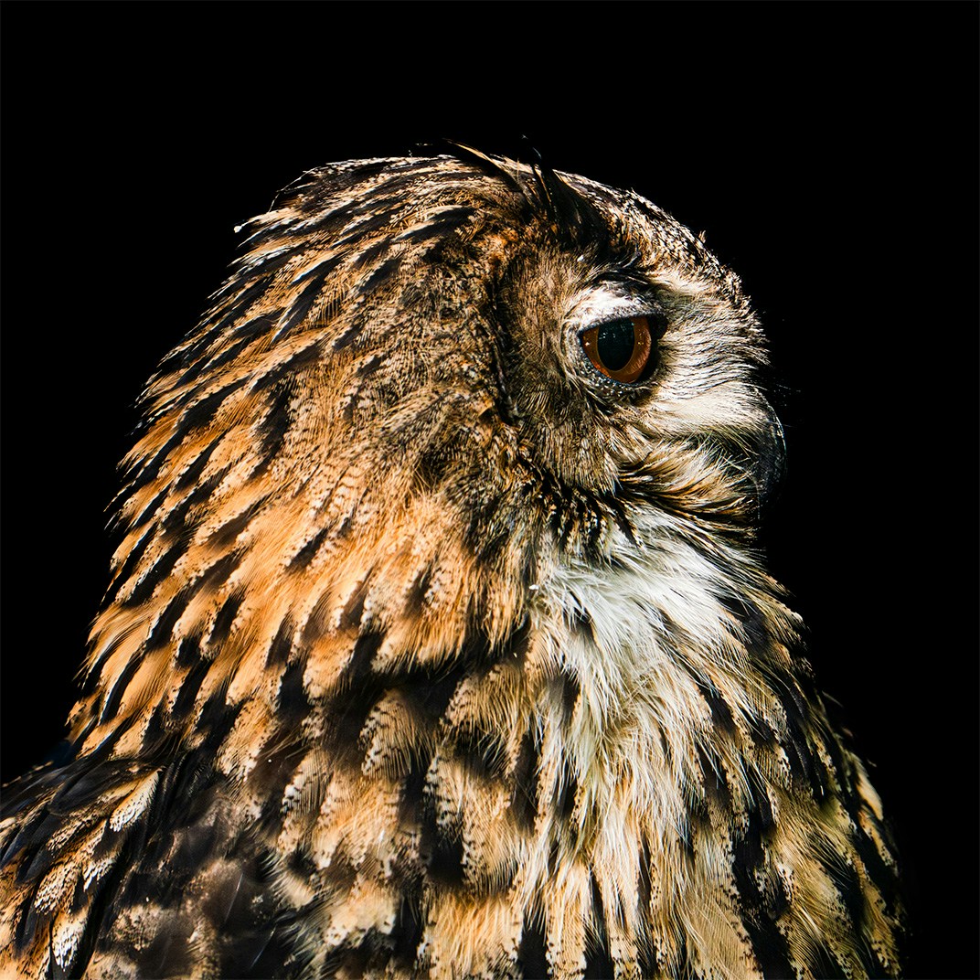 Go to Philipp Mika's profile