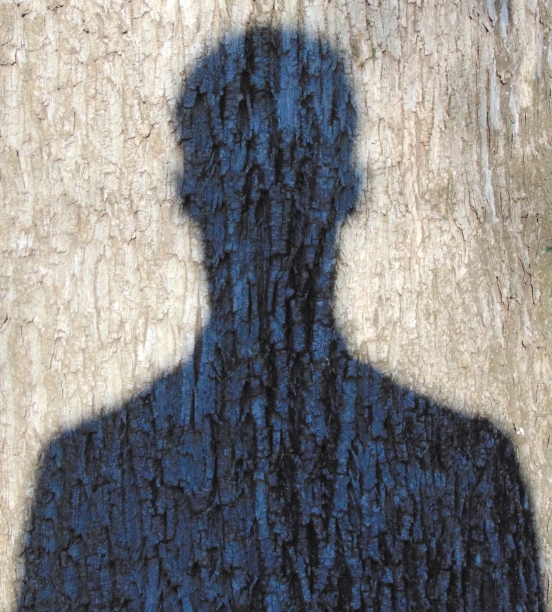 Go to Joaquin G. Pérez's profile